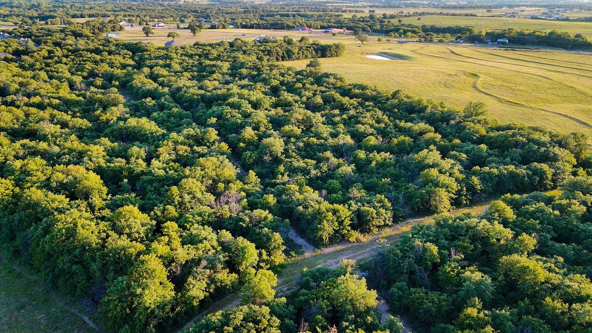 134 acres in Parker County - photo 10
