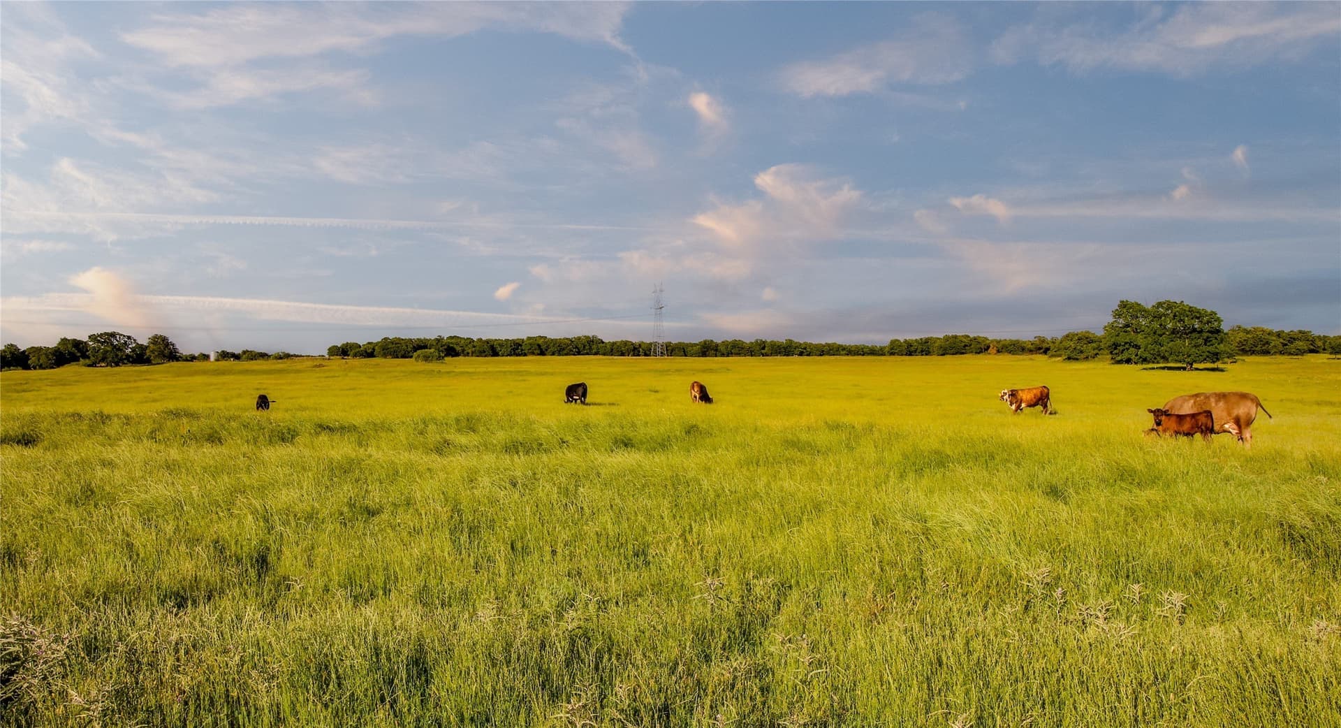 134 acres in Parker County - photo 28