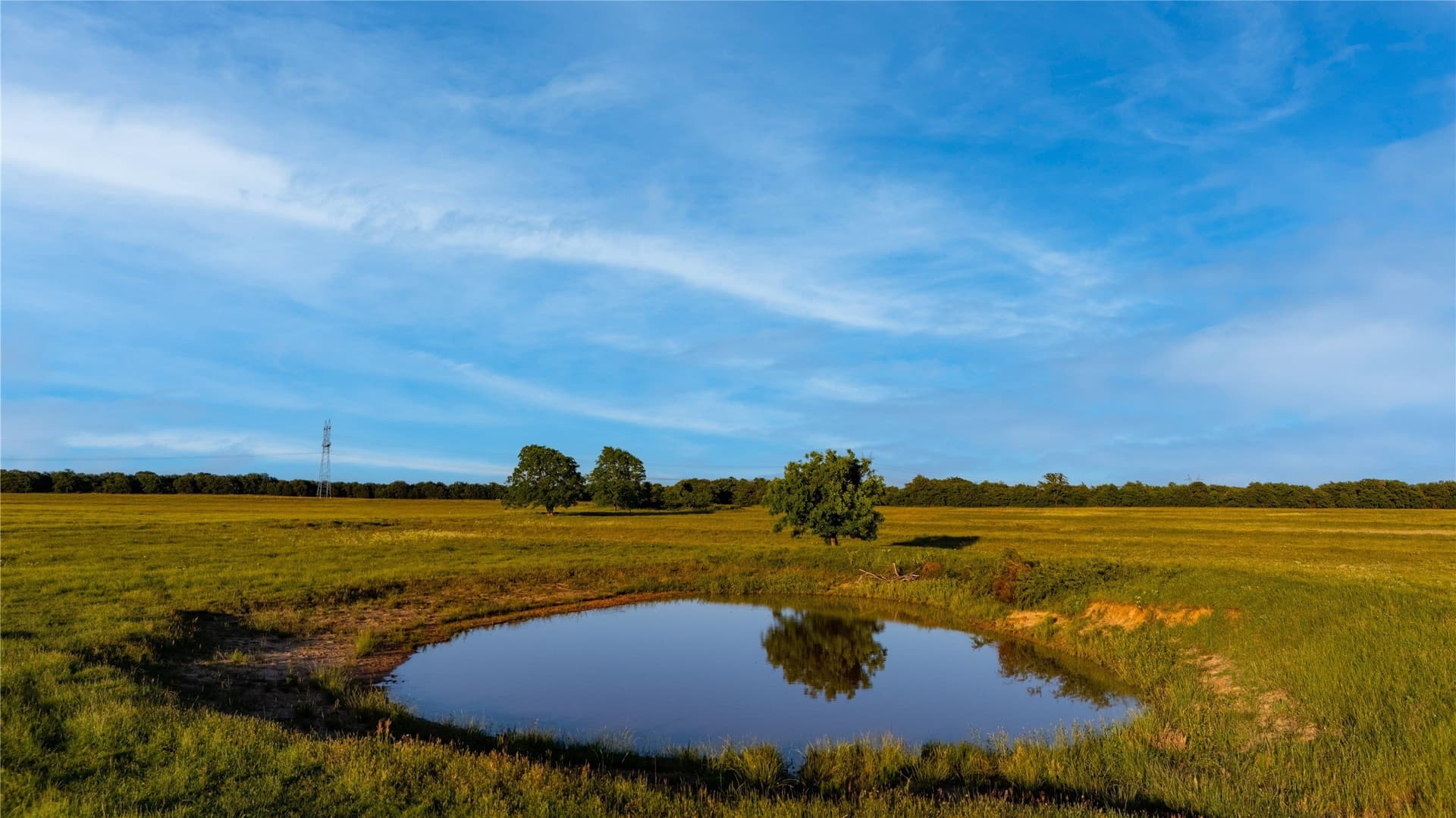 134 acres in Parker County - photo 15