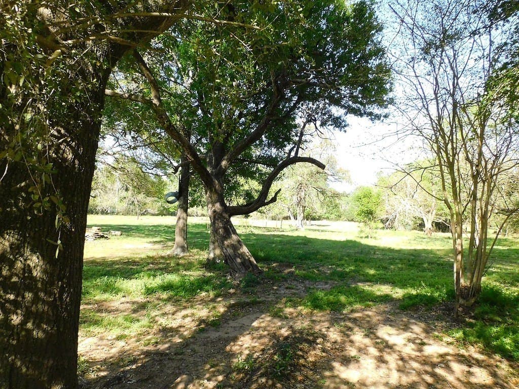 5.84 acres in Austin County - photo 7