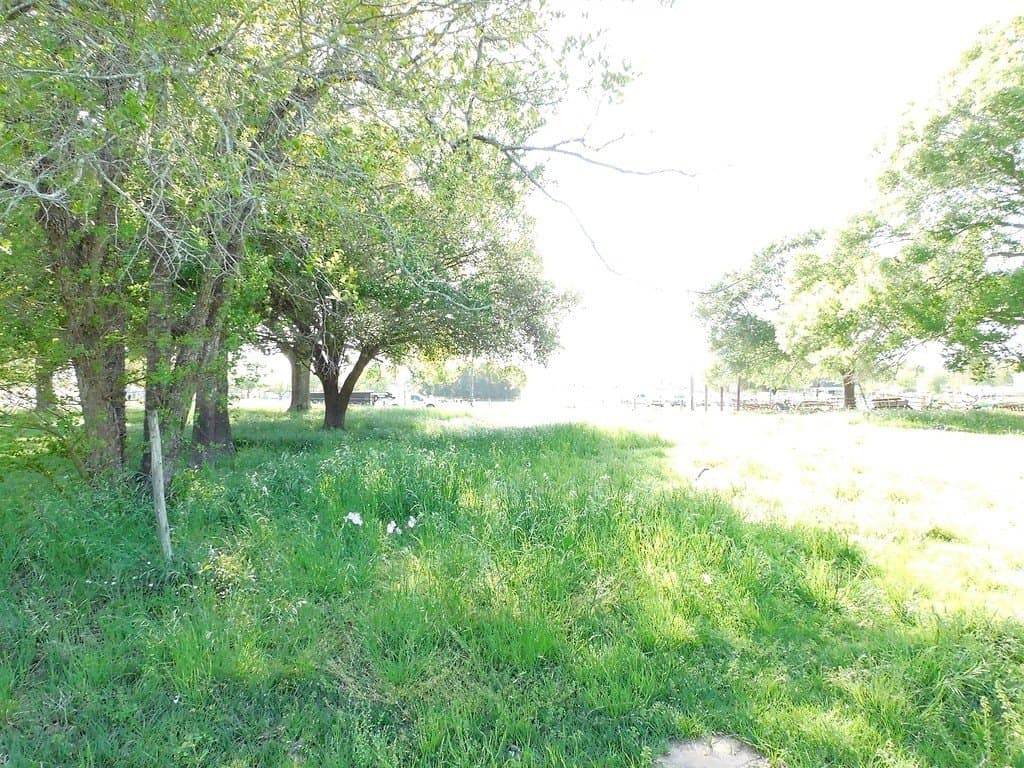 5.84 acres in Austin County - photo 5