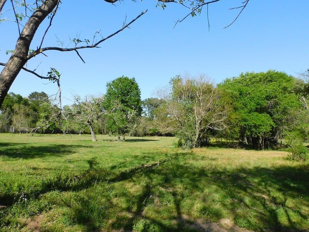 5.84 acres in Austin County