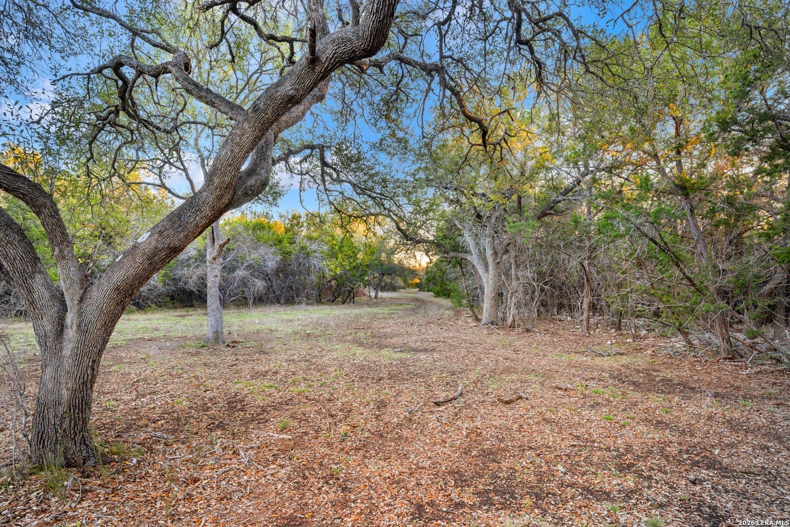 26.66 acres in Comal County - photo 38