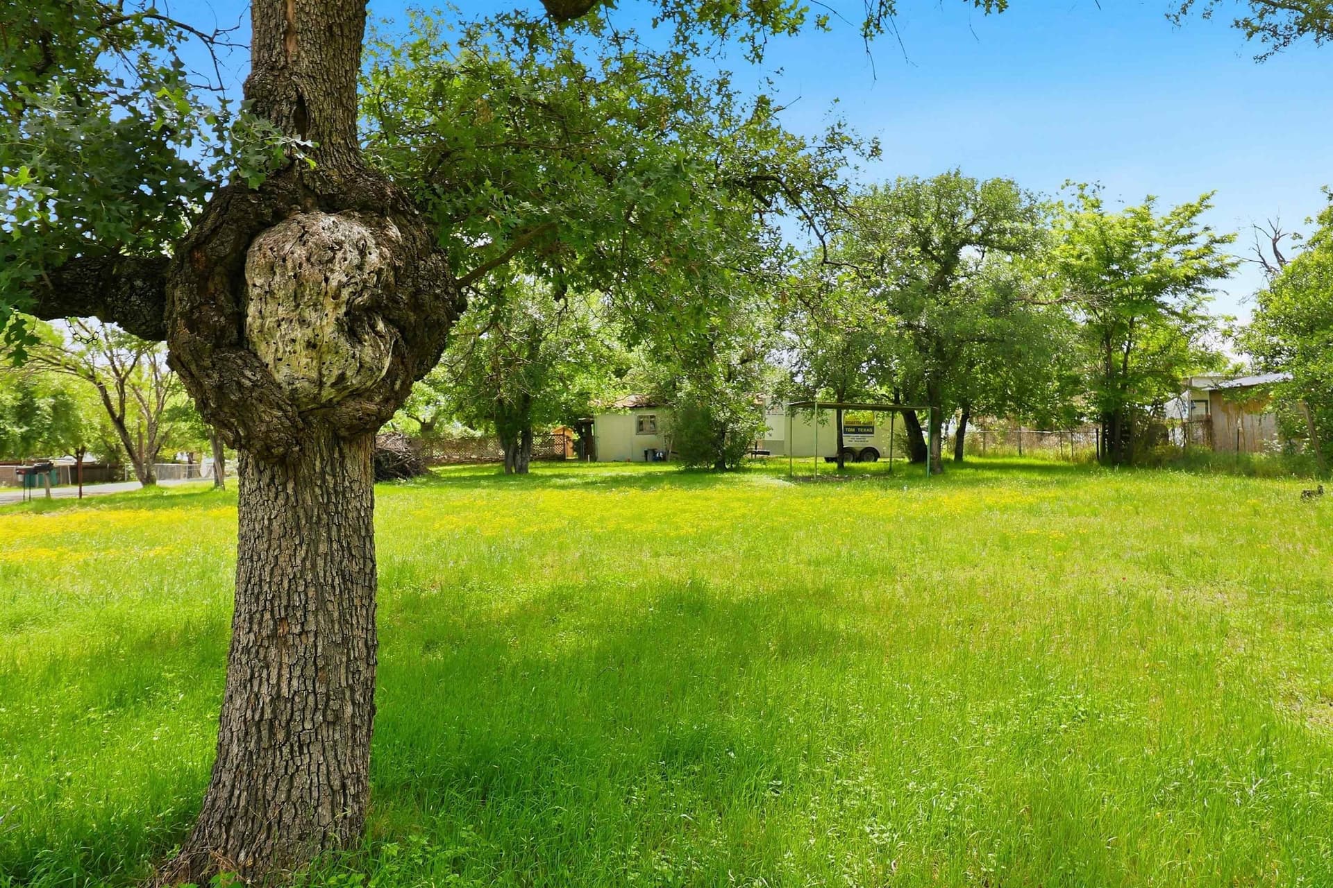 0.23 acres in Burnet County - photo 9
