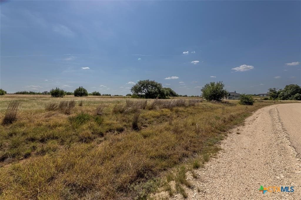 4 acres in Burnet County - photo 5