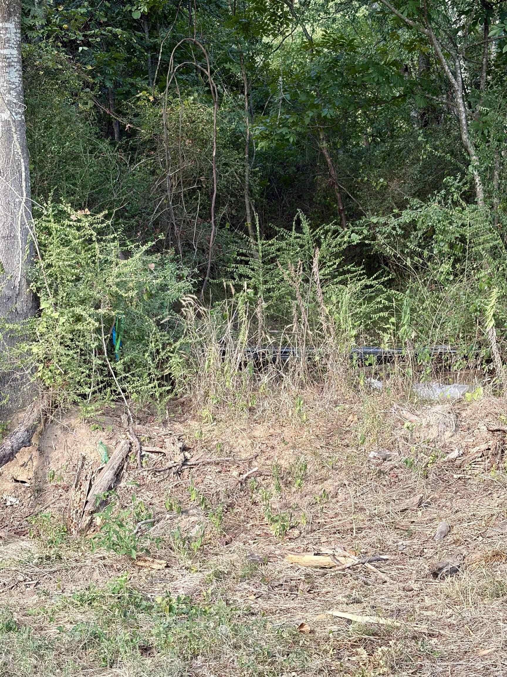 11.81 acres in Texas County - photo 2