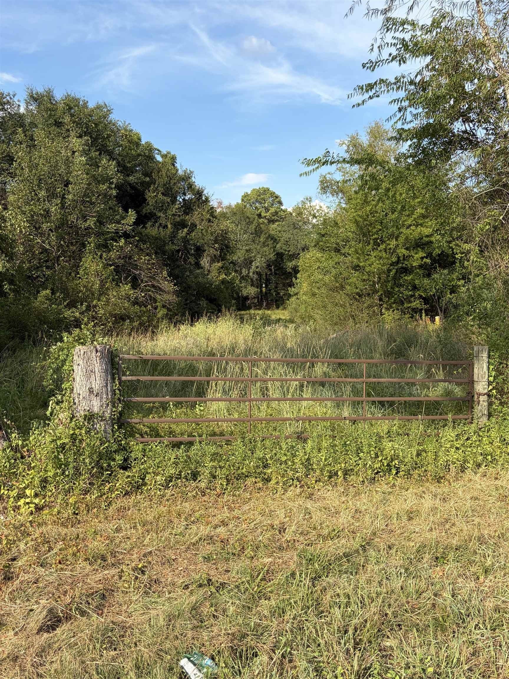 11.81 acres in Texas County - photo 4