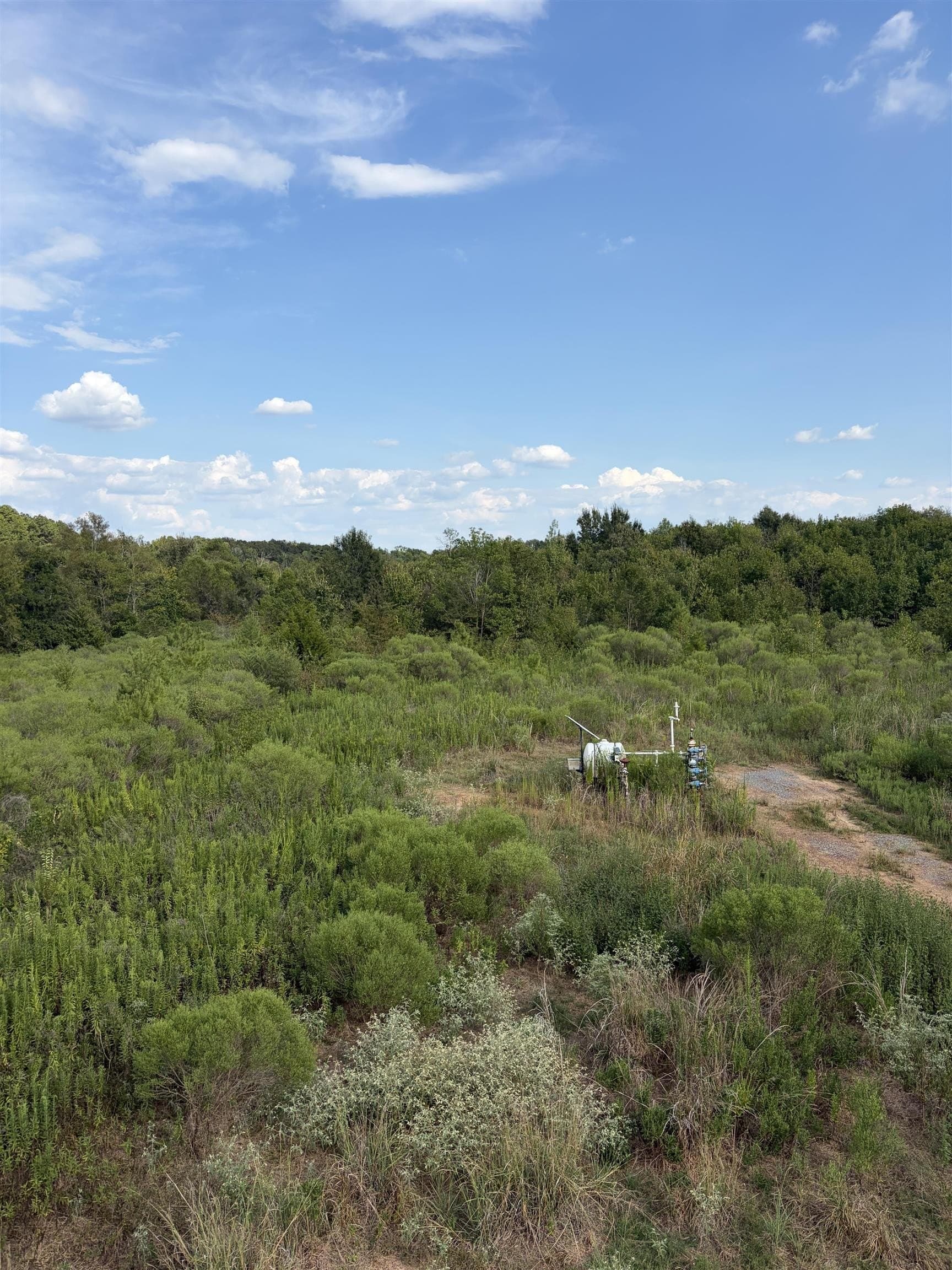 11.81 acres in Texas County - photo 8