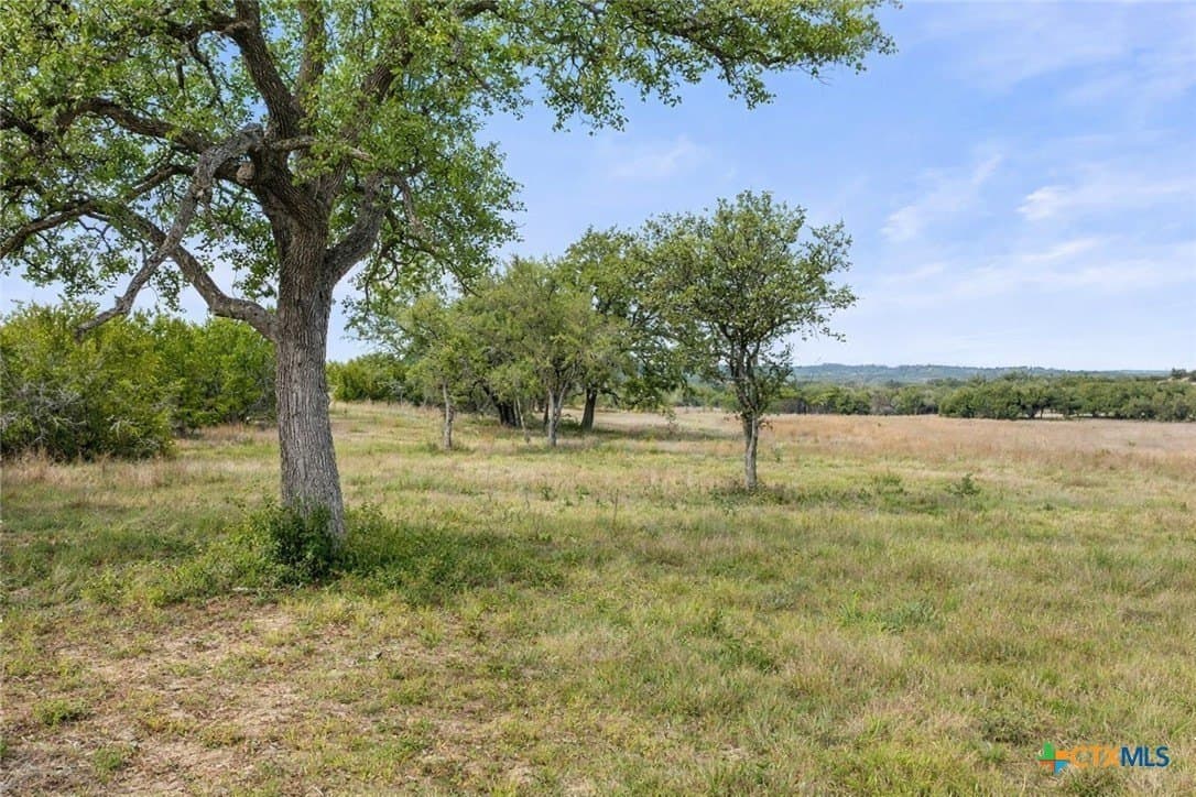 10.01 acres in Hays County - photo 10