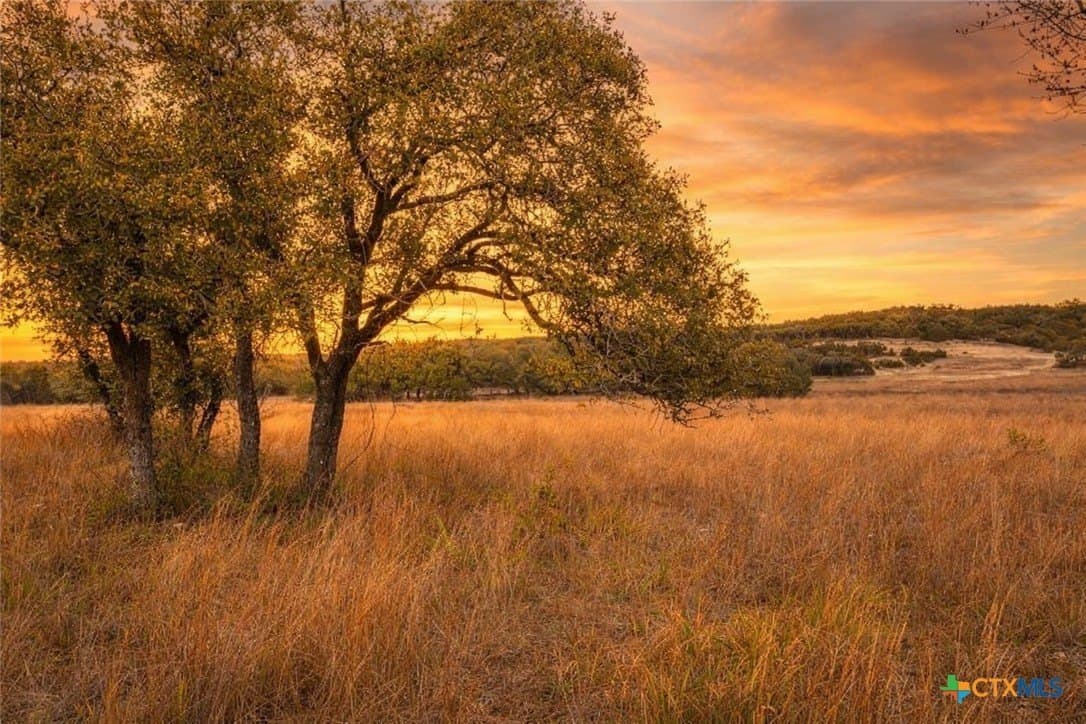 10.01 acres in Hays County gallery image 2