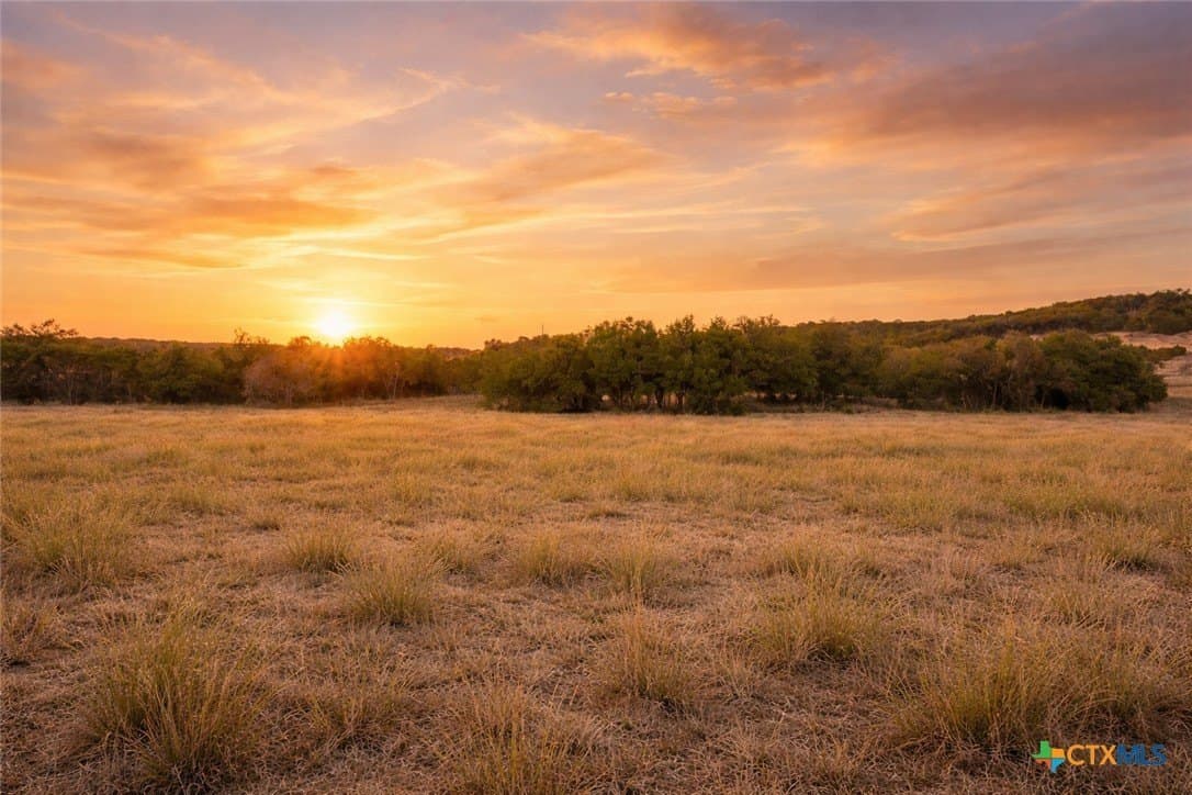 10.01 acres in Hays County gallery image 4