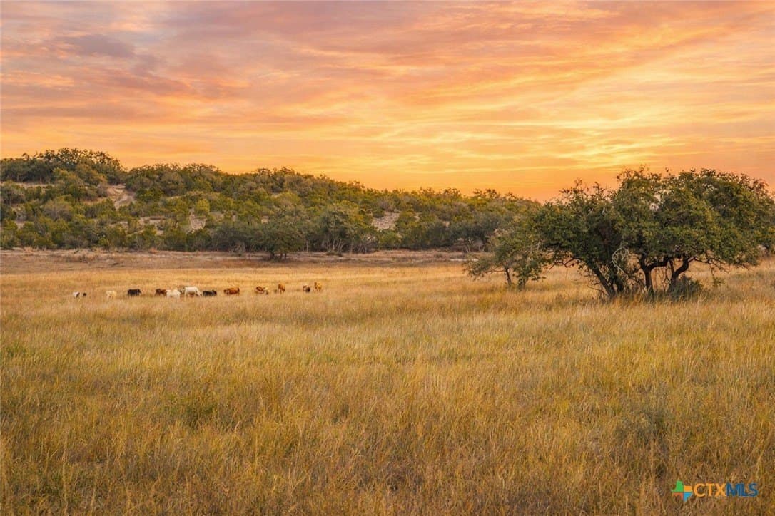 10.01 acres in Hays County - photo 8