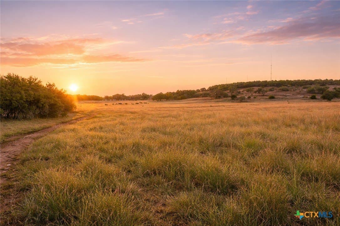 10.01 acres in Hays County featured view