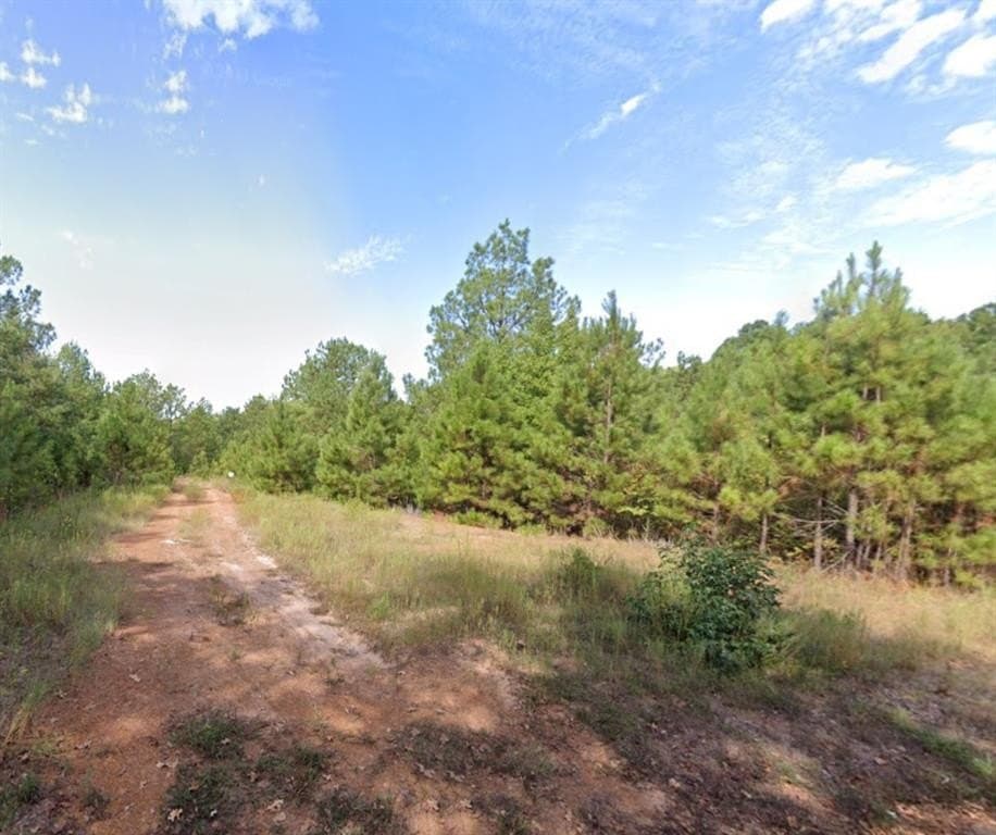 38 acres in Harrison County gallery image 3