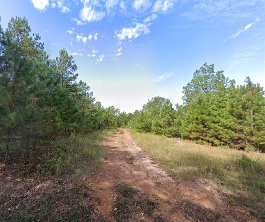 38 acres in Harrison County gallery image 4