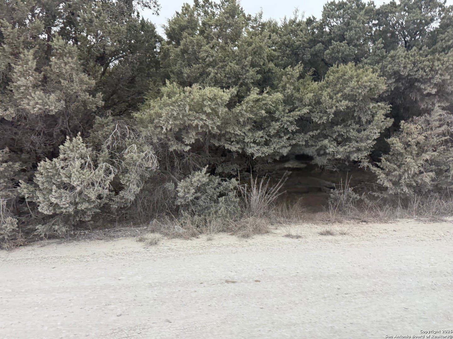 0.28 acres in Comal County gallery image 3