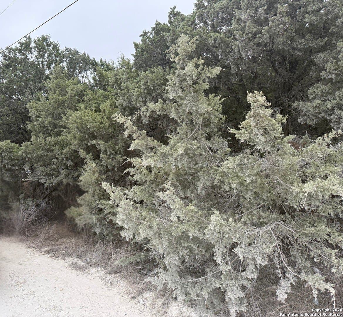 0.28 acres in Comal County gallery image 2