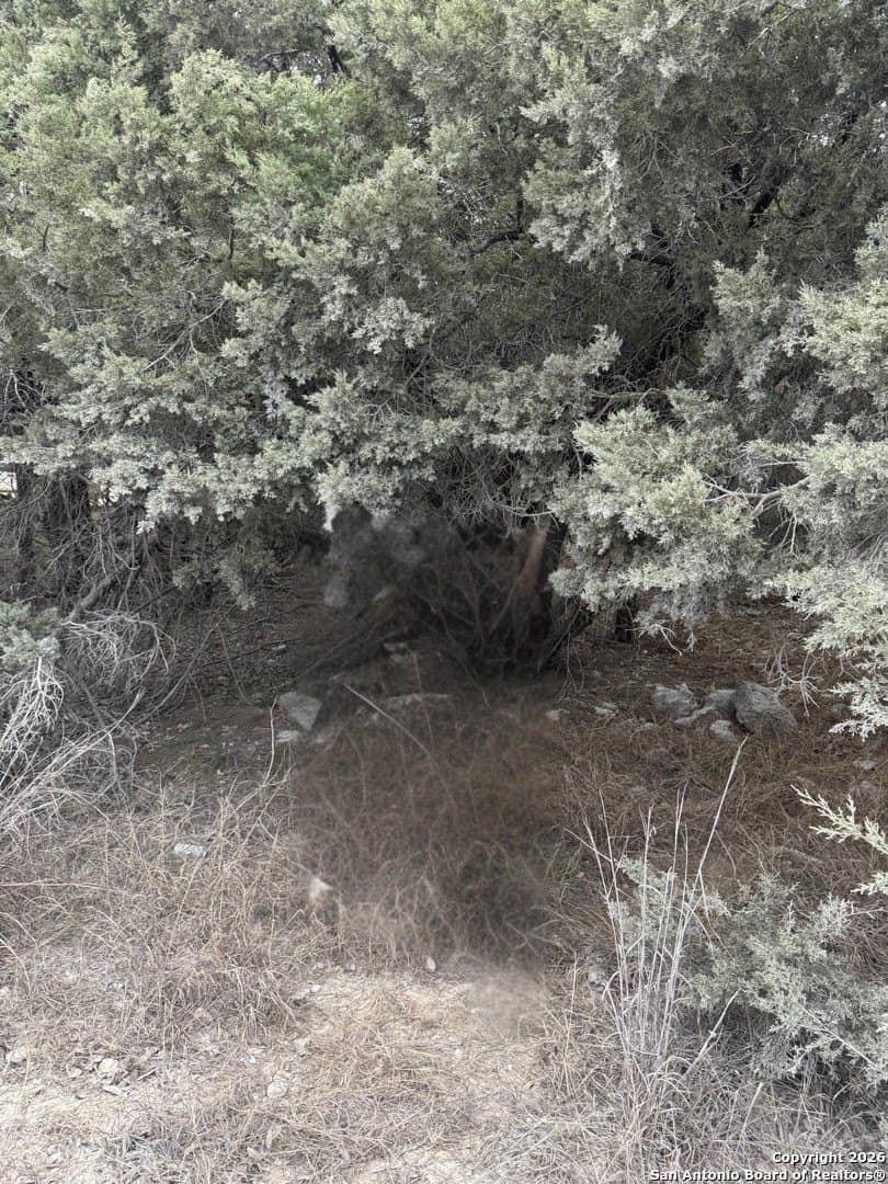 0.28 acres in Comal County gallery image 4