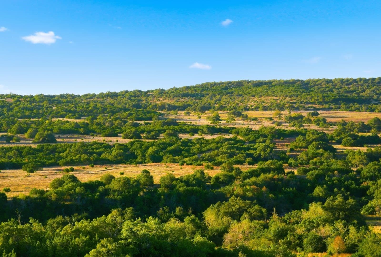 855 acres in Hays County - photo 33