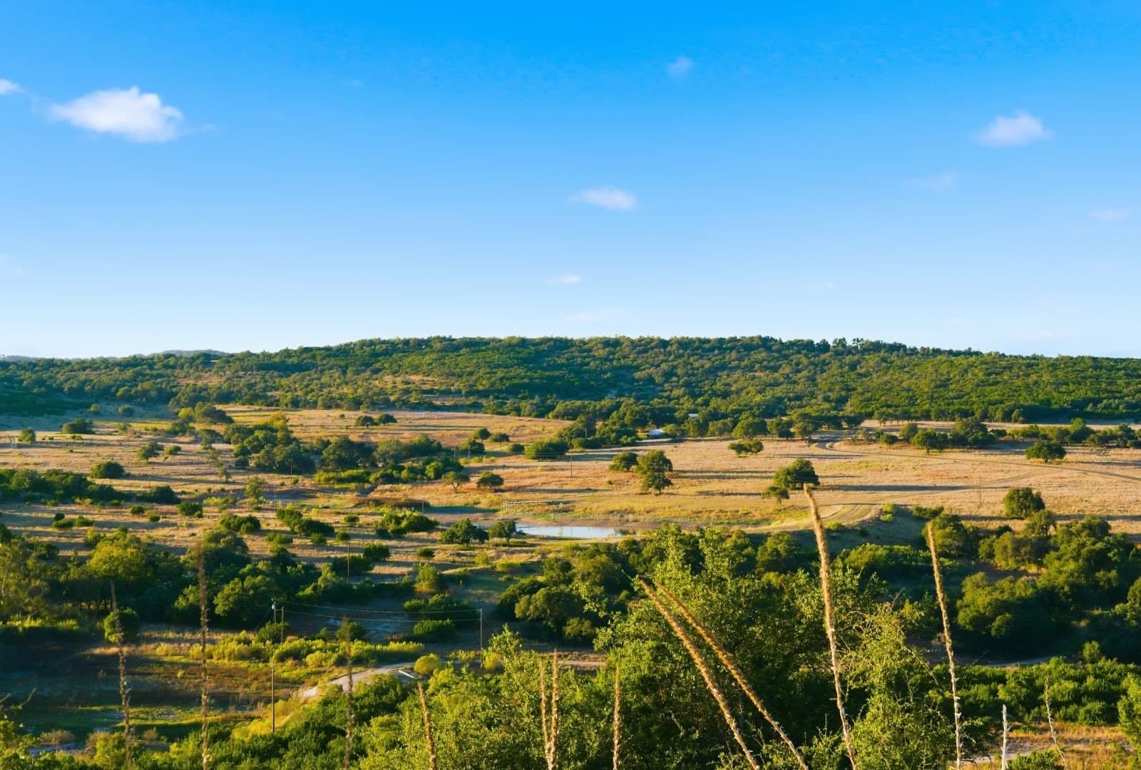 855 acres in Hays County - photo 16