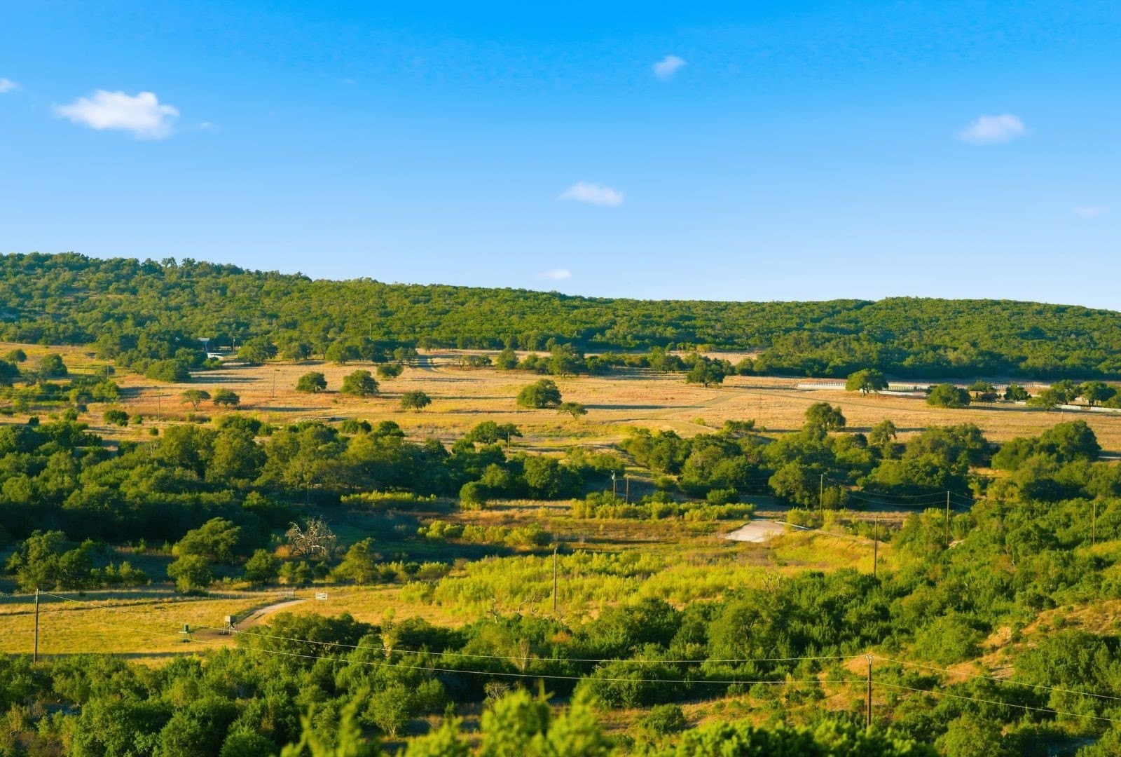 855 acres in Hays County - photo 15