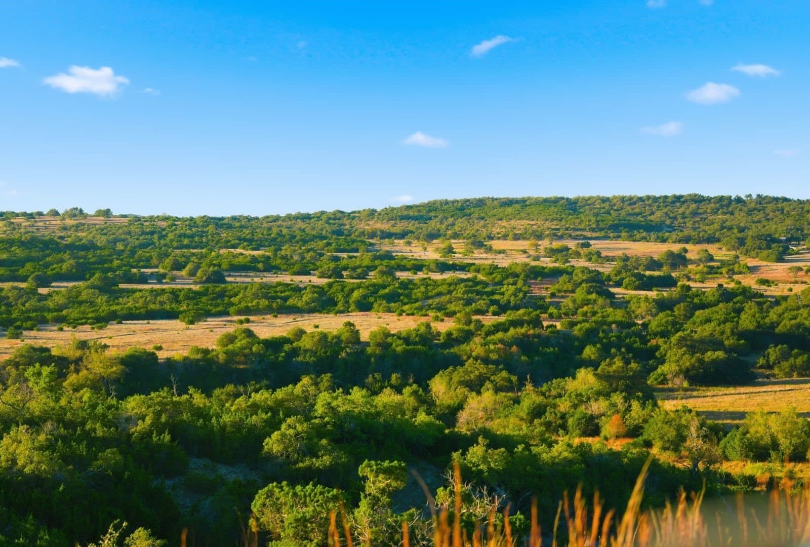 855 acres in Hays County - photo 14
