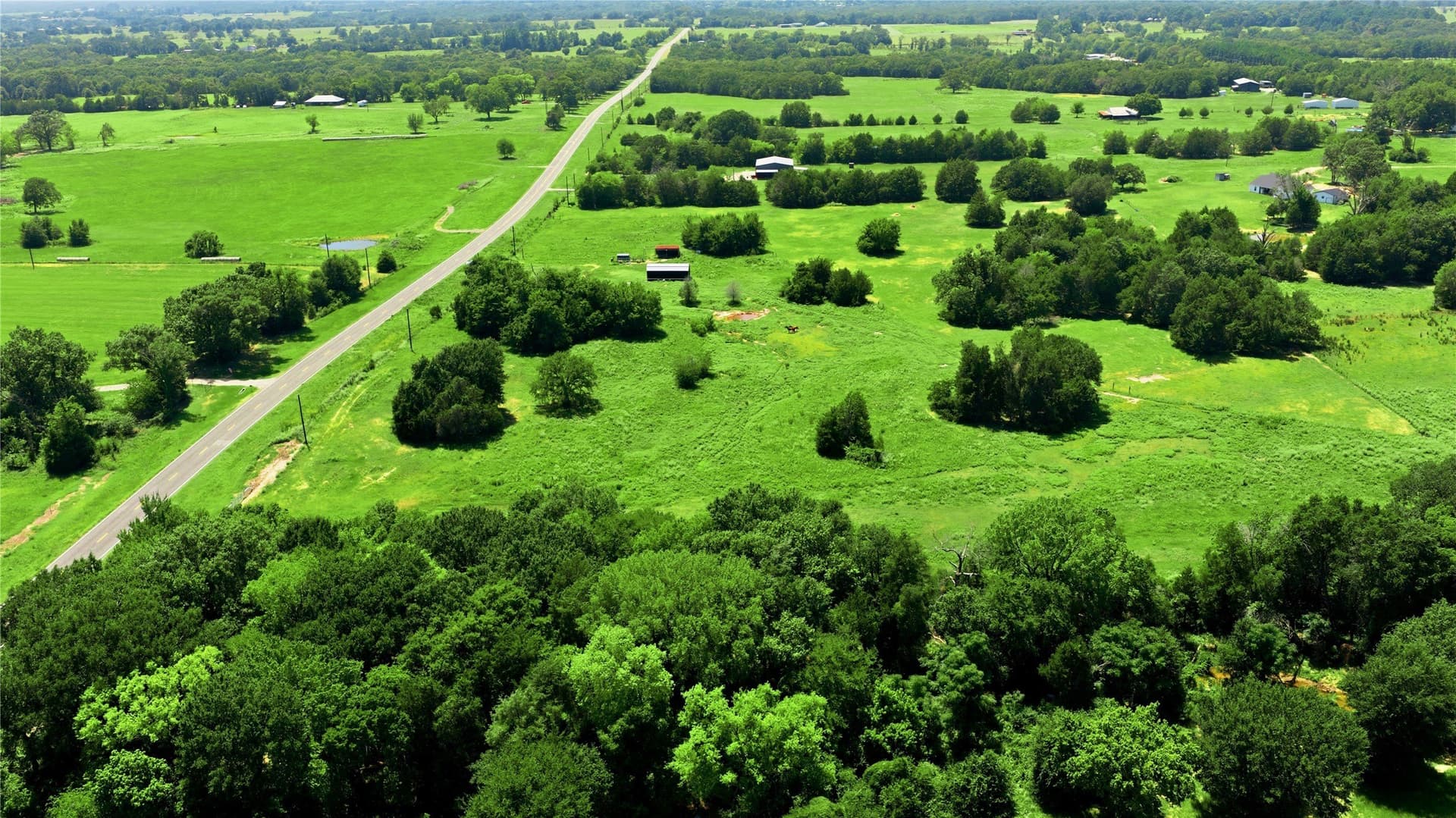 12.36 acres in Henderson County - photo 8