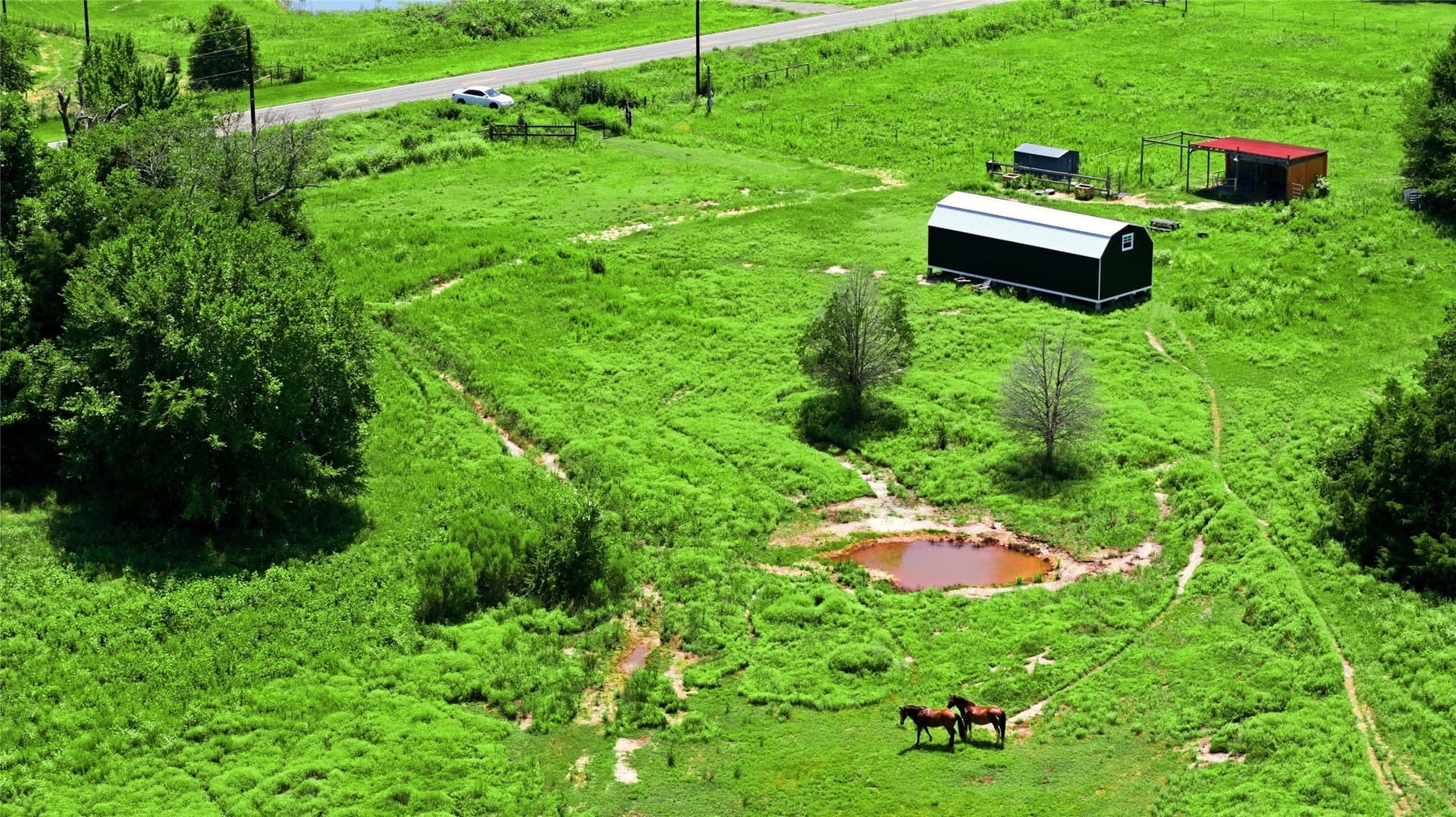 12.36 acres in Henderson County - photo 2