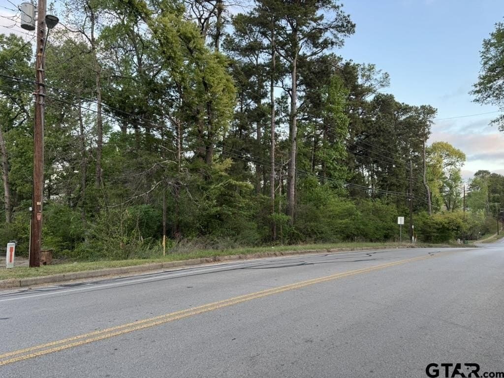 0.21 acres in Smith County - photo 2