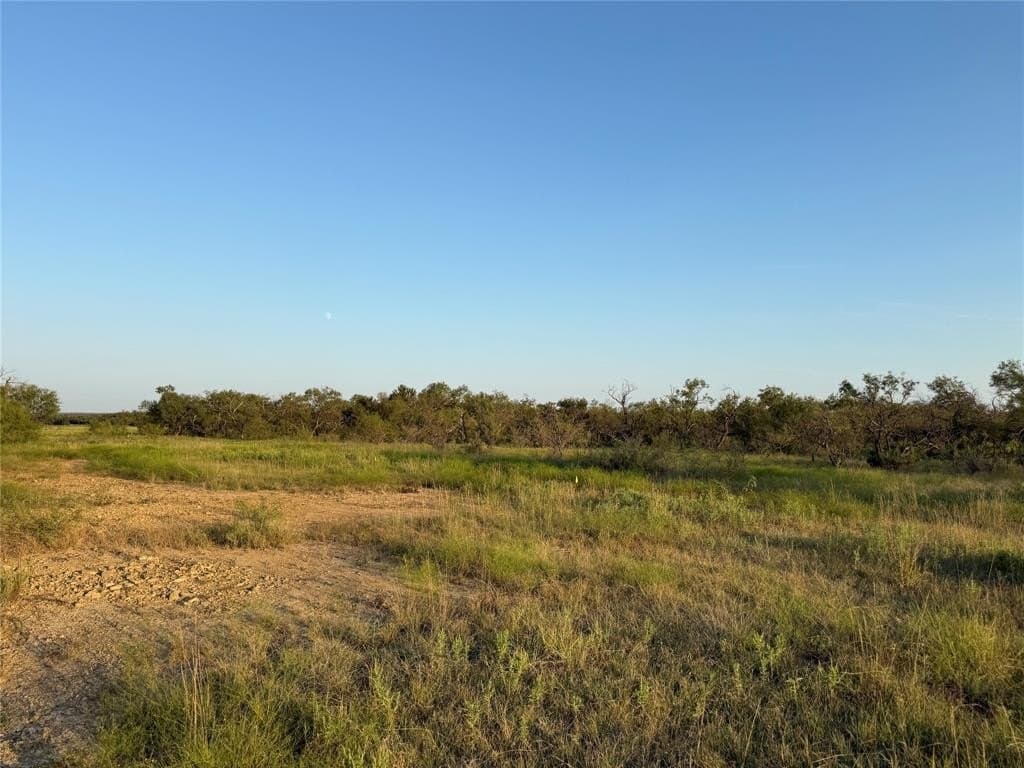 10.78 acres in Erath County gallery image 4