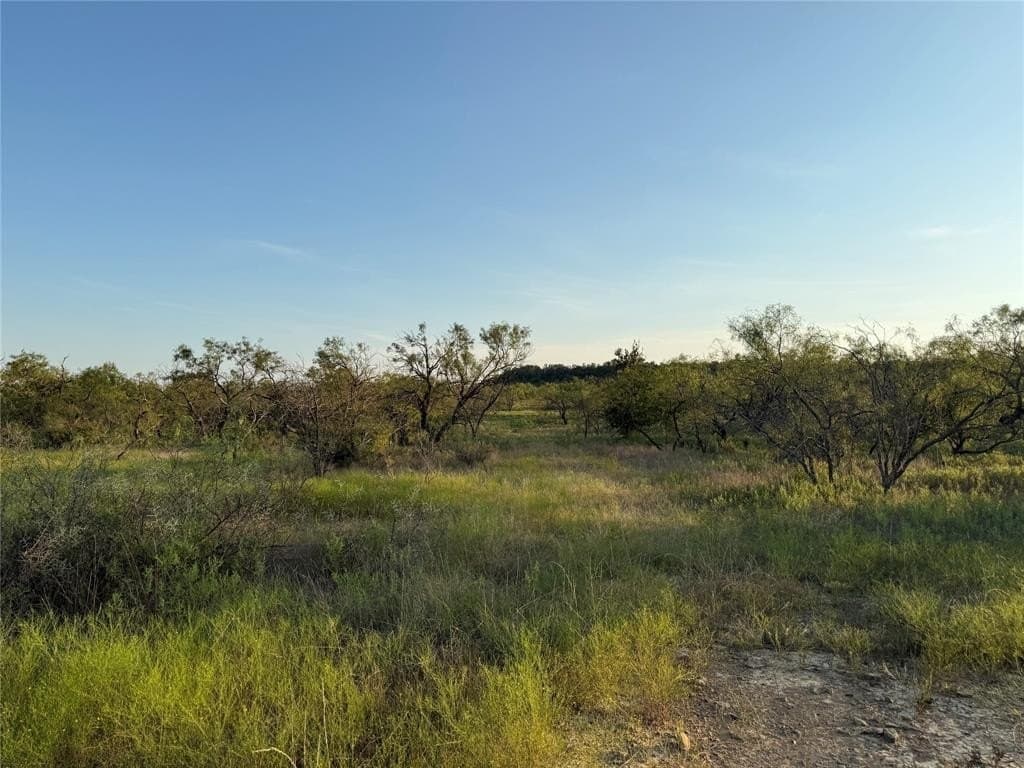 10.78 acres in Erath County gallery image 2