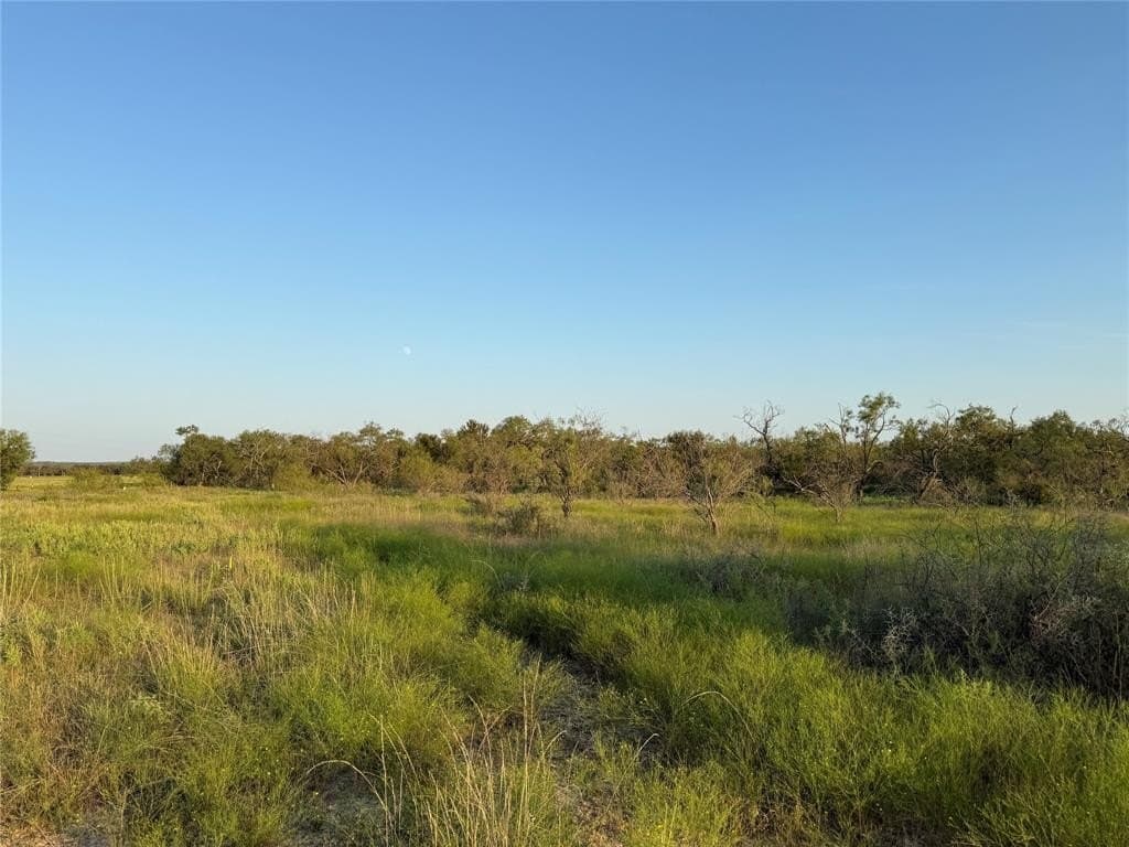 10.78 acres in Erath County gallery image 3