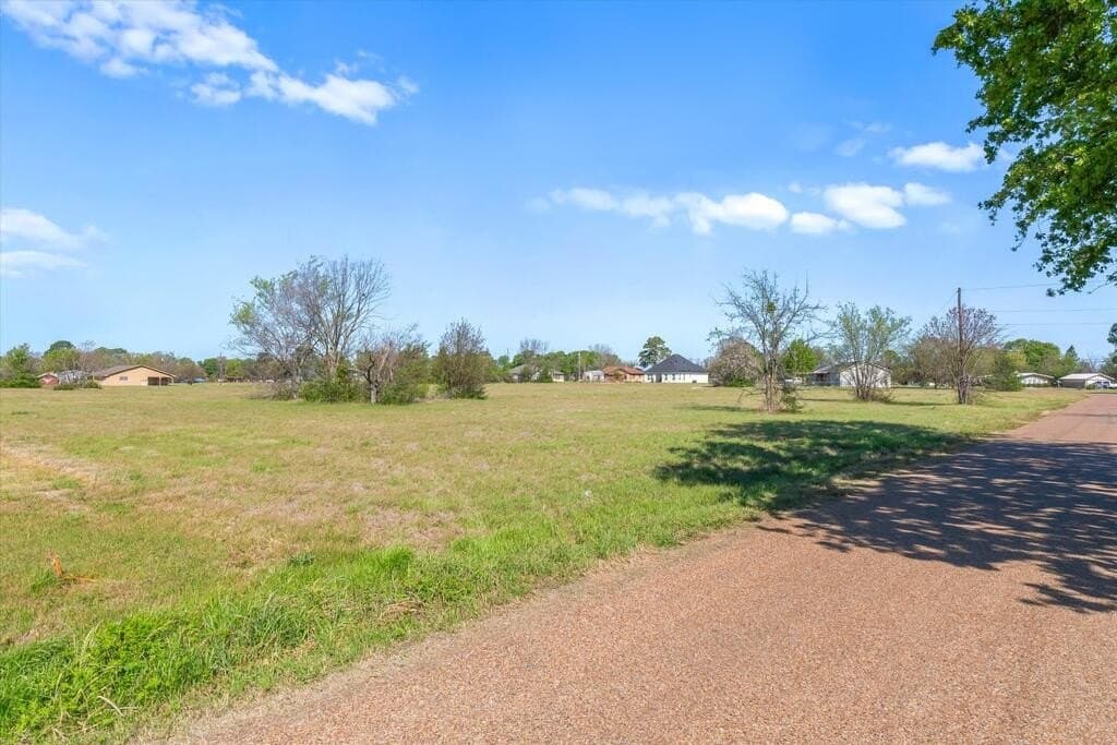 0.19 acres in Henderson County - photo 8