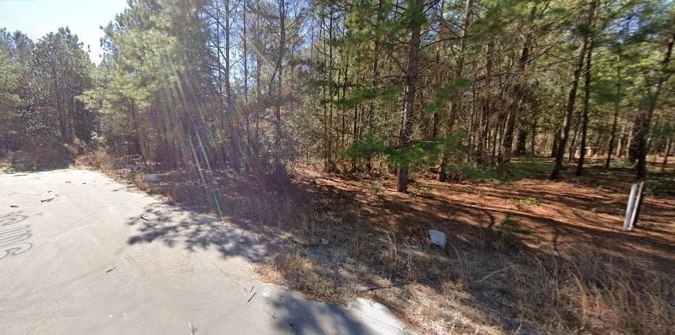 0.48 acres in Texas County - photo 2