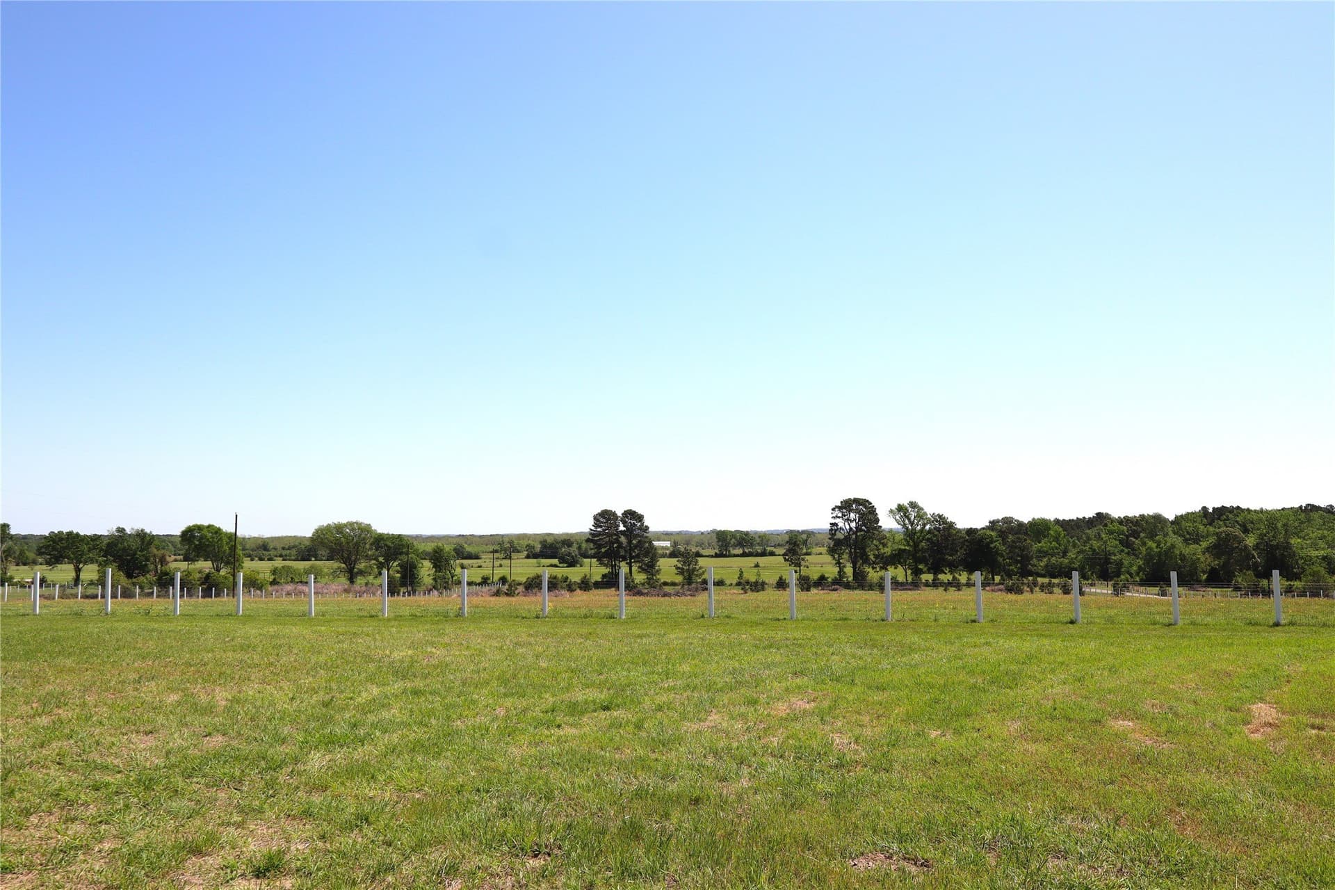 60 acres in Henderson County - photo 8