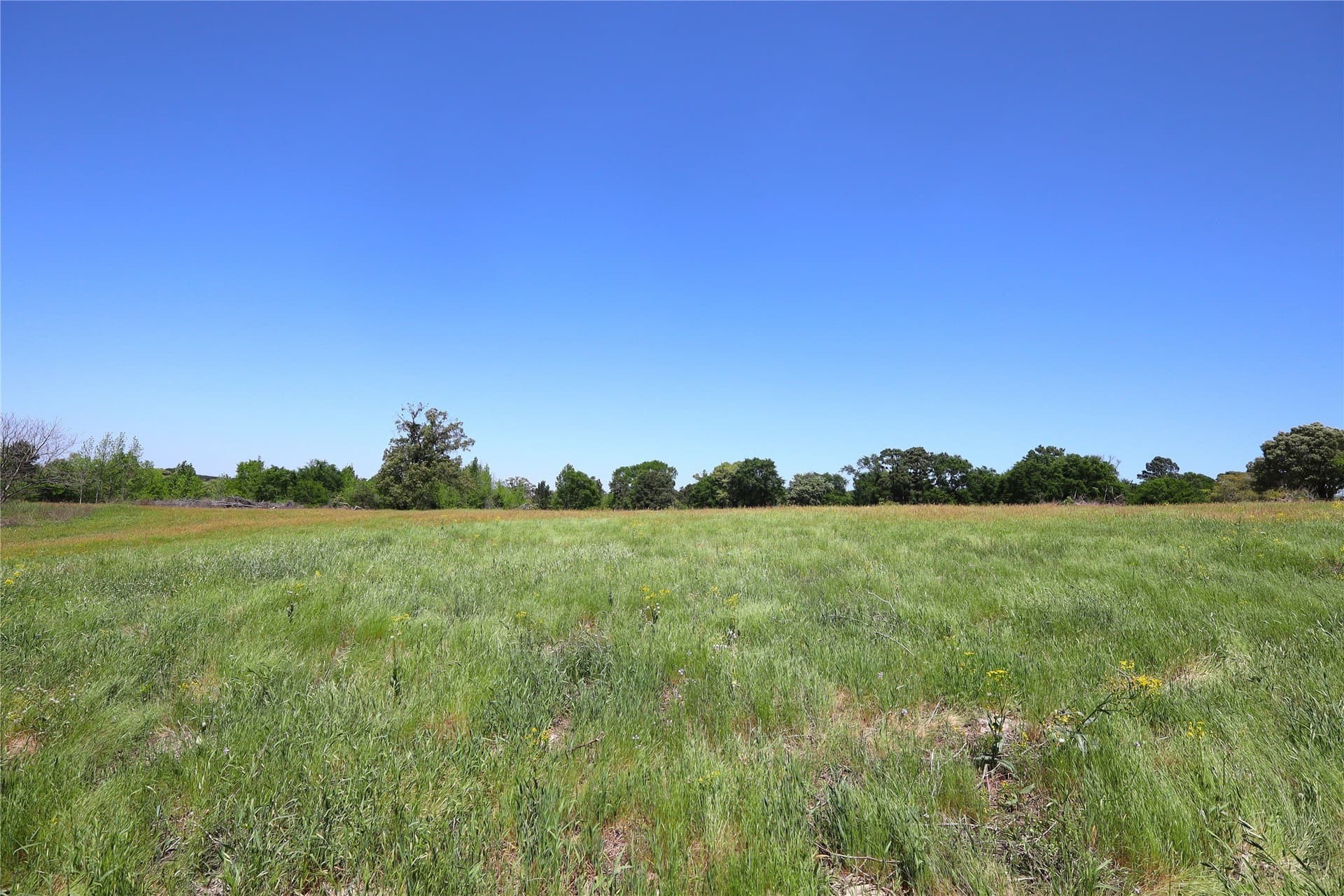 60 acres in Henderson County - photo 25