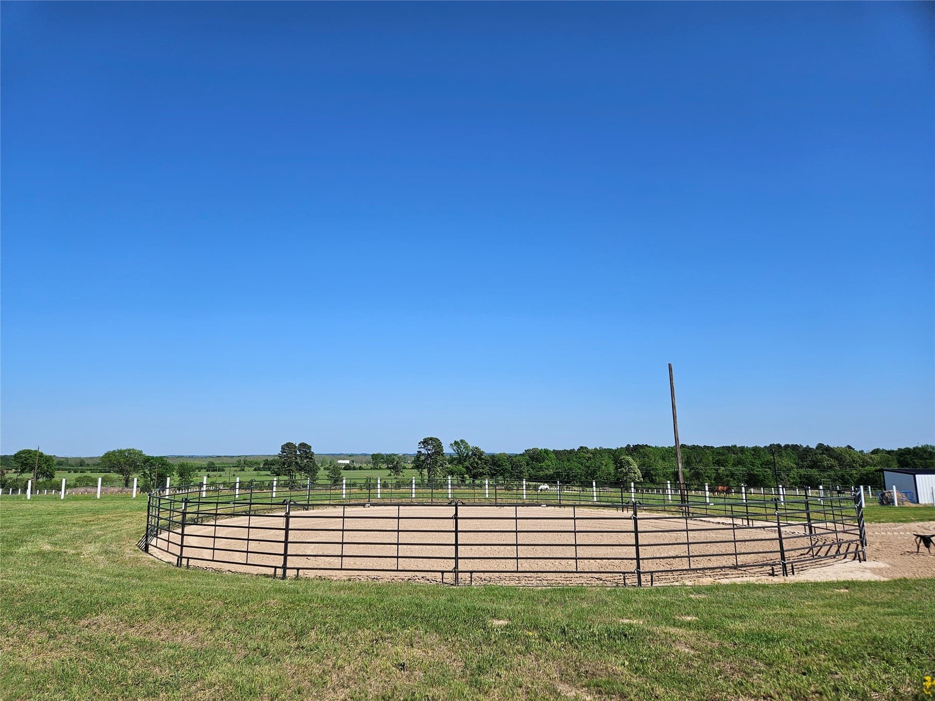 60 acres in Henderson County - photo 16