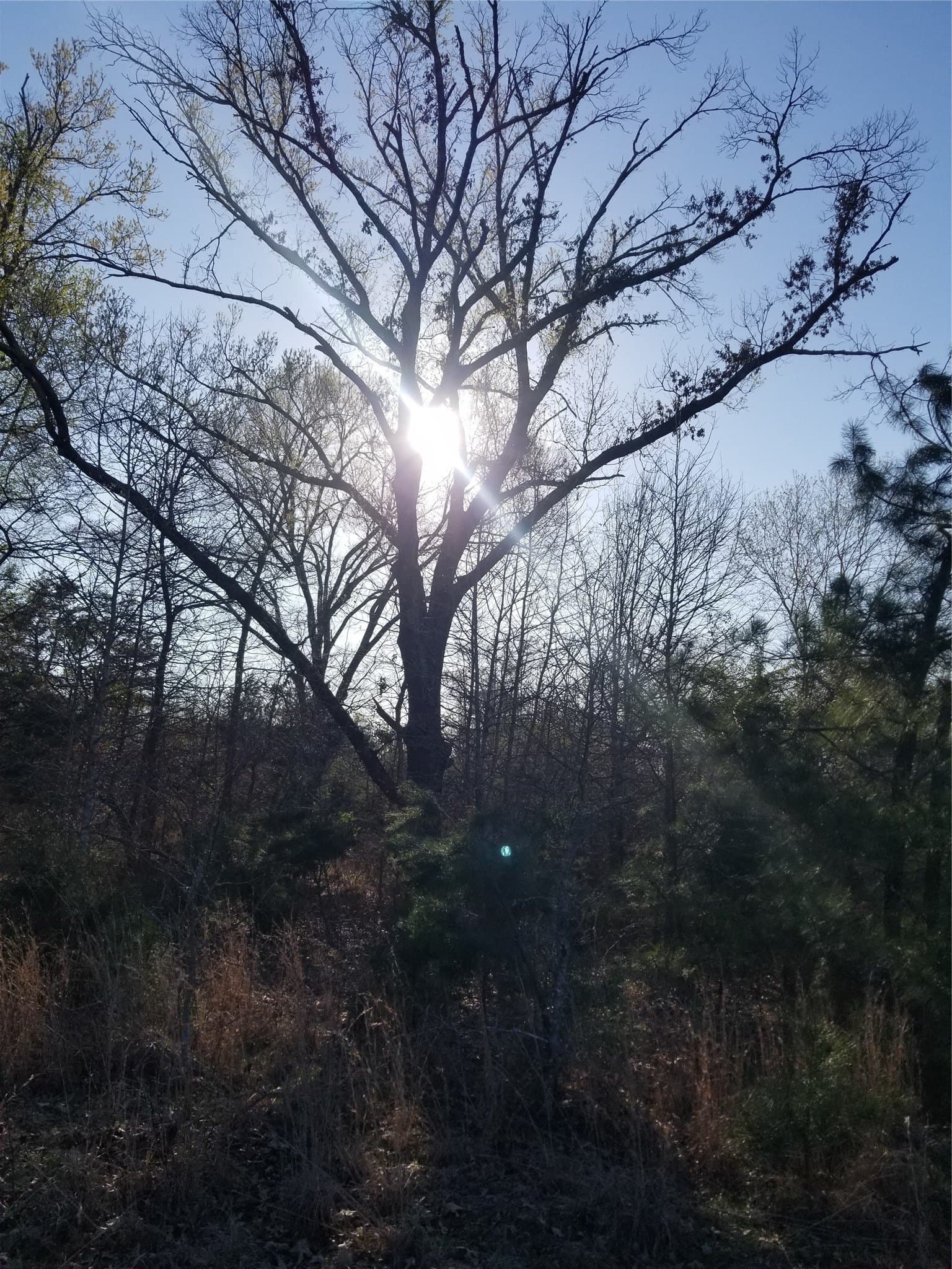 60 acres in Henderson County - photo 30