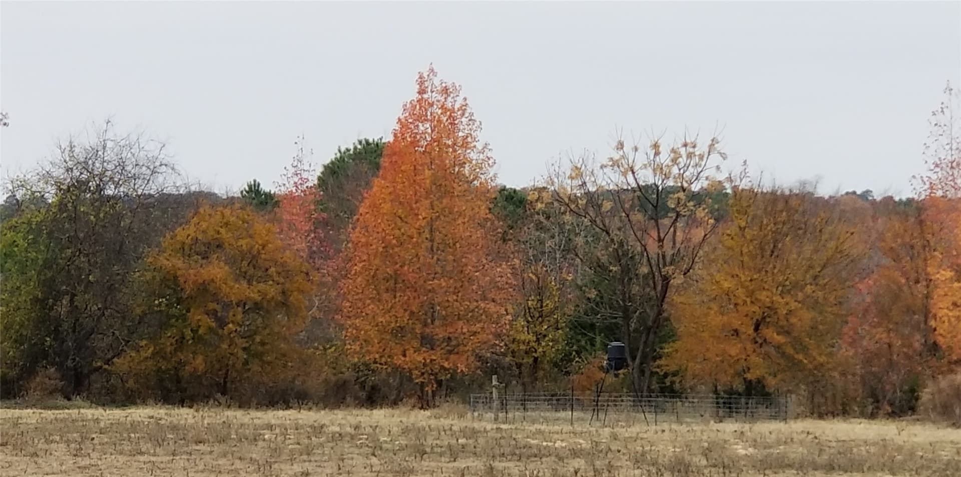 60 acres in Henderson County - photo 31