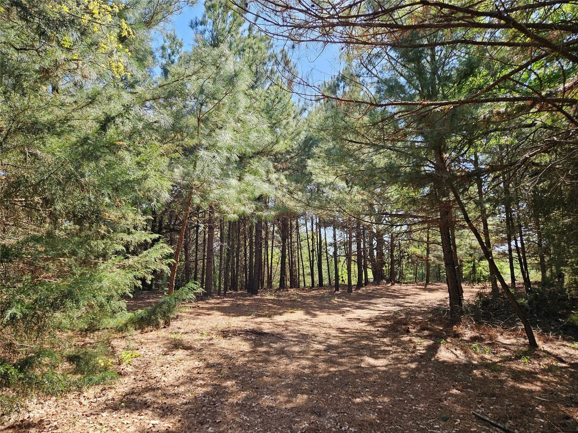60 acres in Henderson County - photo 26