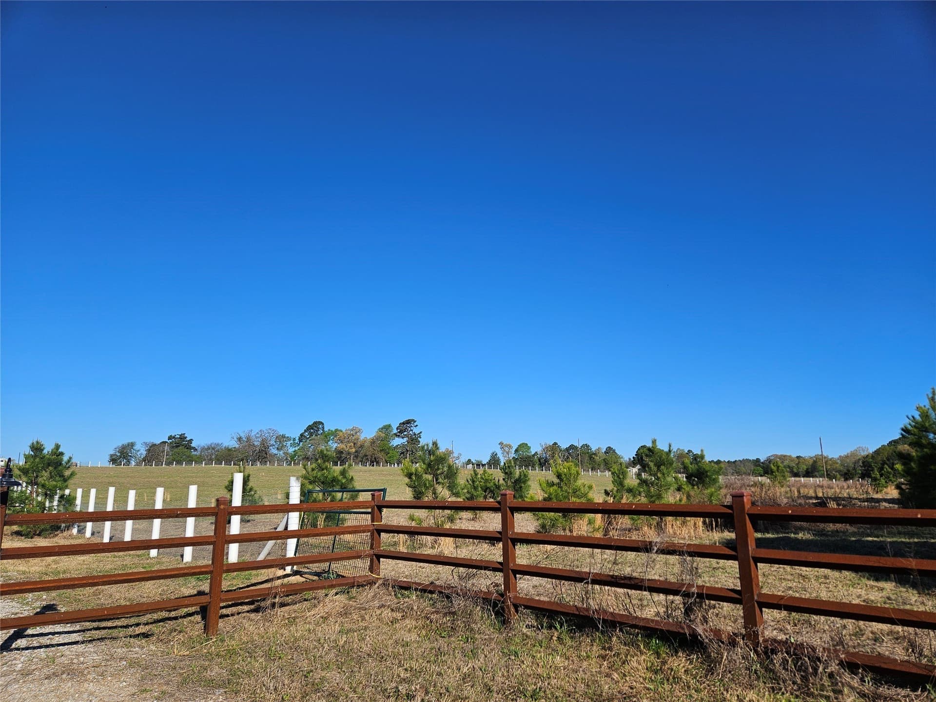60 acres in Henderson County - photo 5