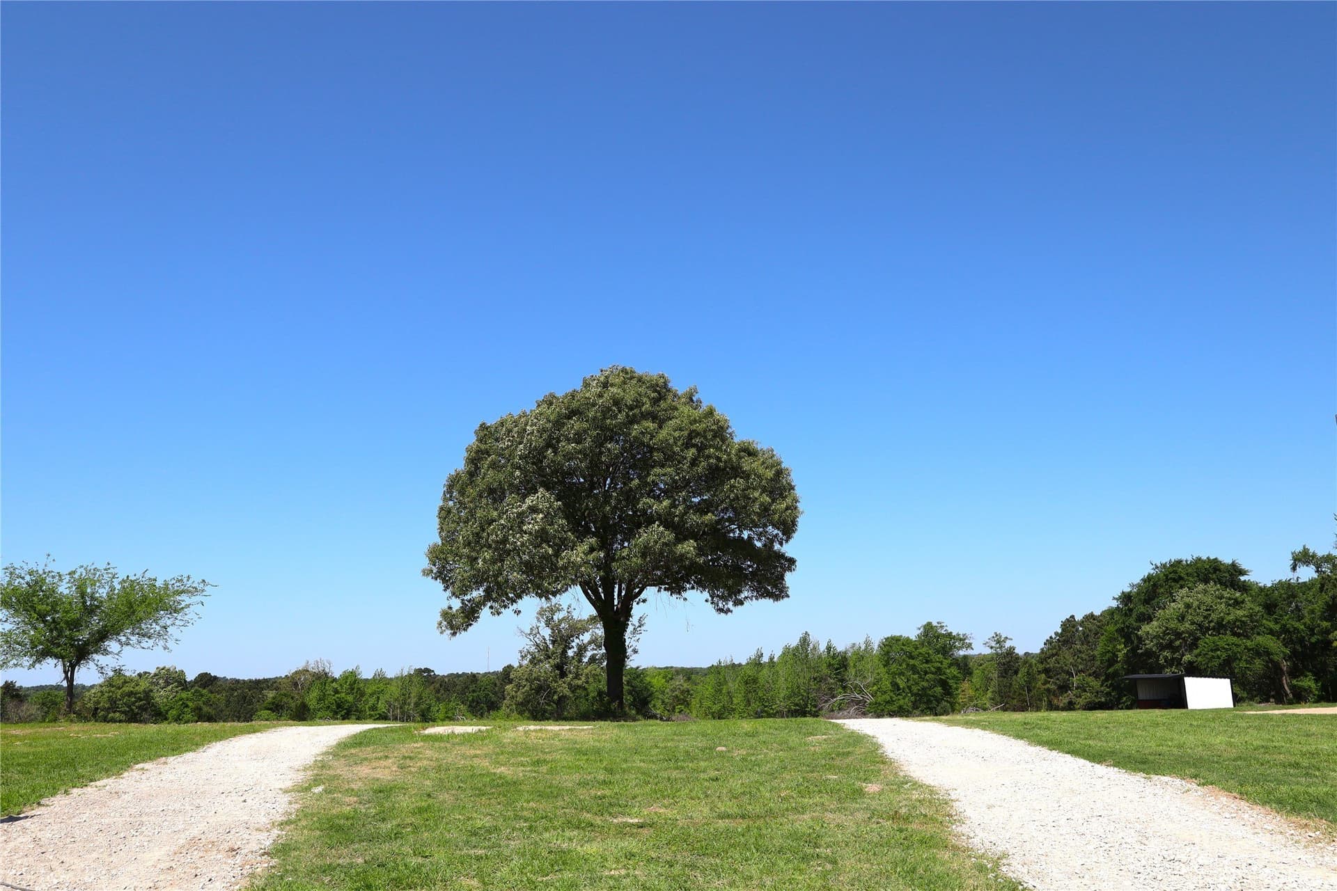60 acres in Henderson County - photo 20