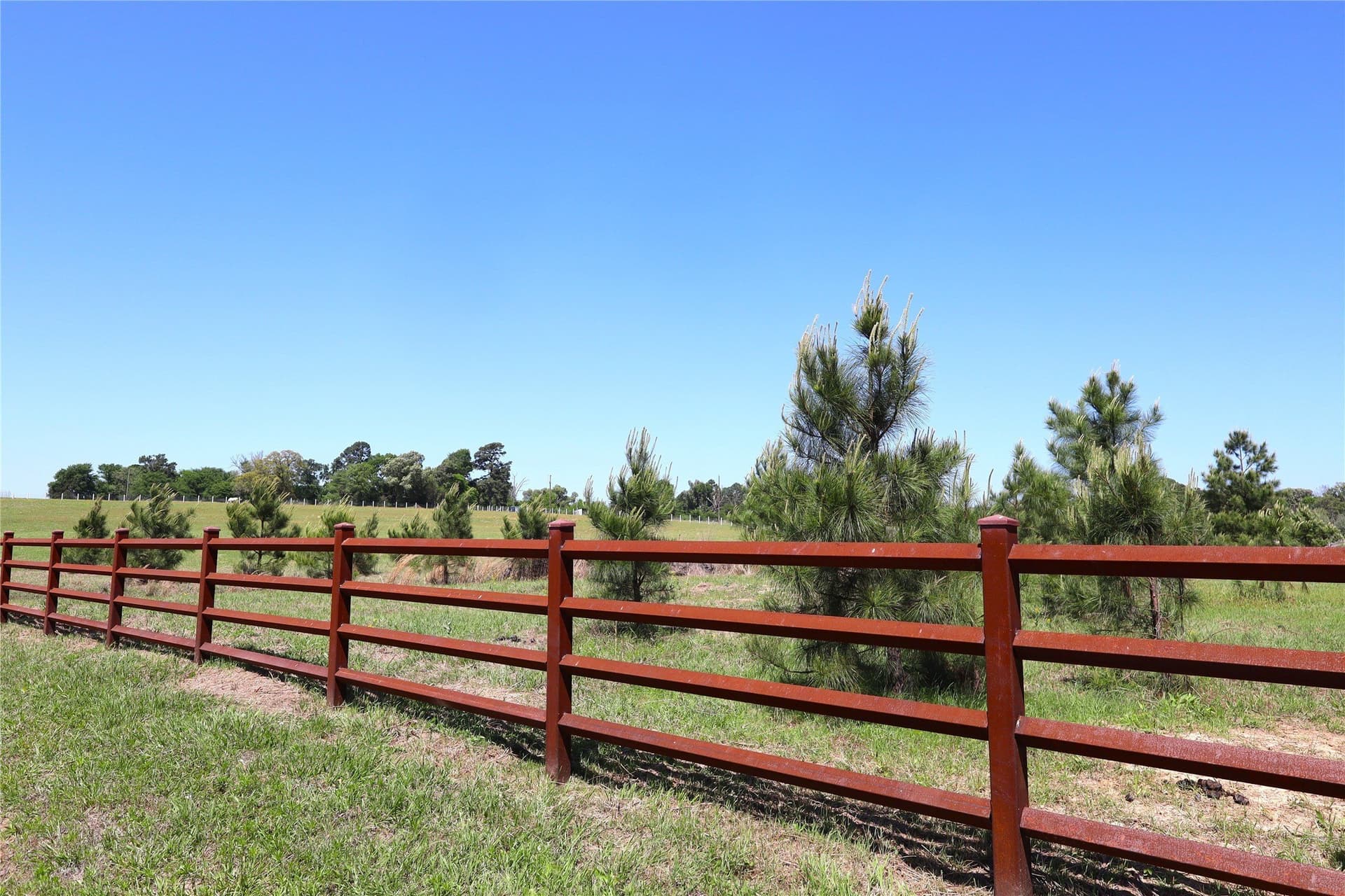60 acres in Henderson County - photo 2