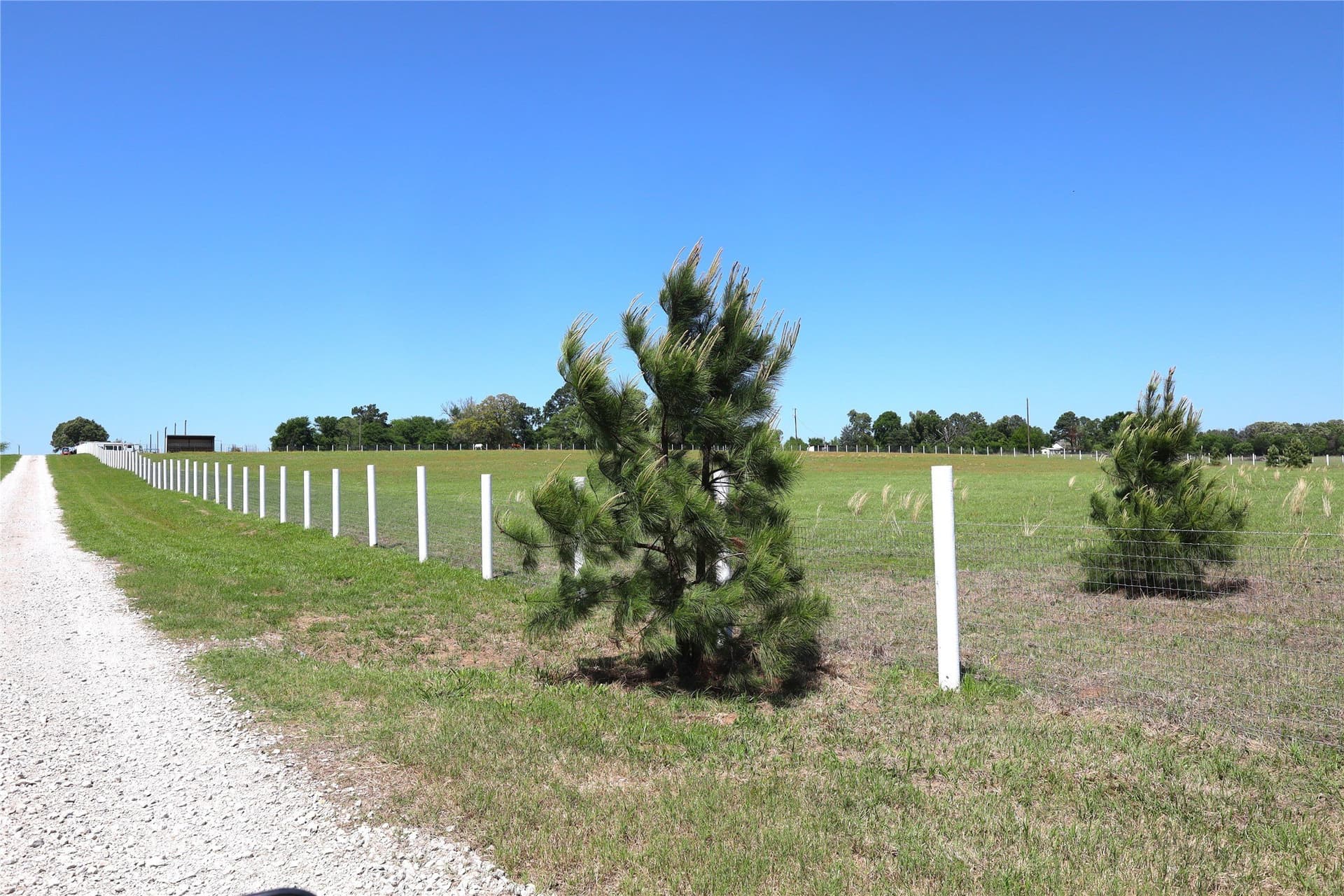 60 acres in Henderson County - photo 11