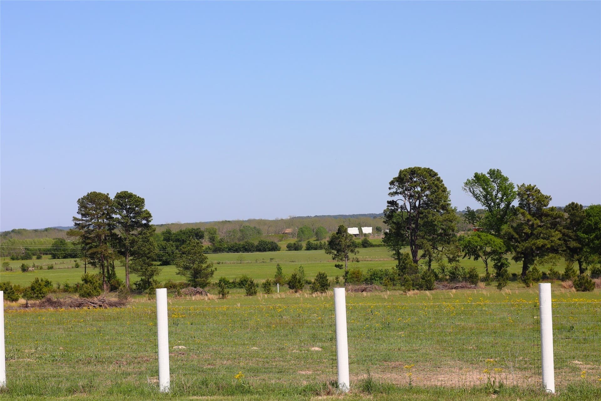 60 acres in Henderson County - photo 12