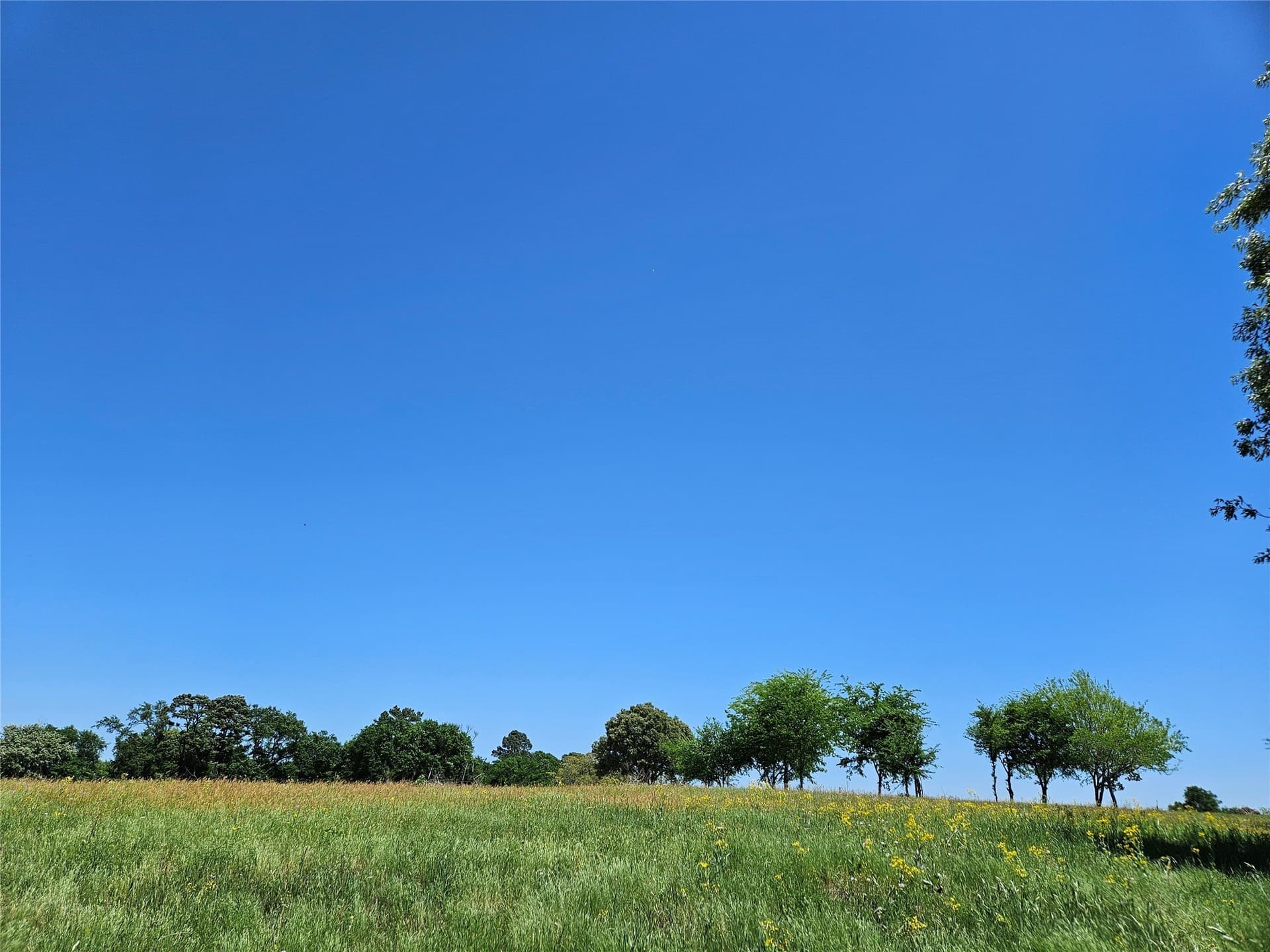60 acres in Henderson County - photo 22