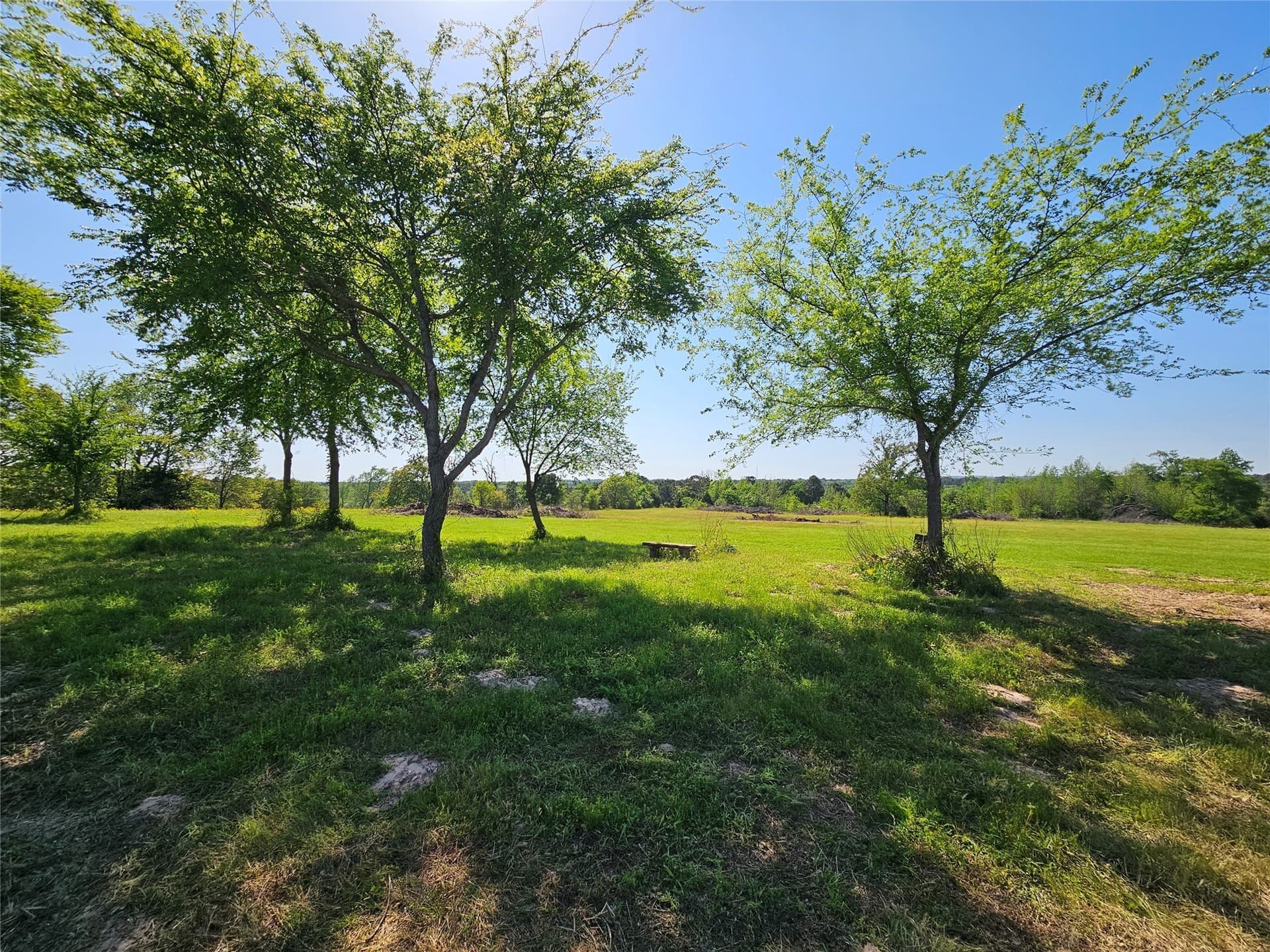 60 acres in Henderson County - photo 21