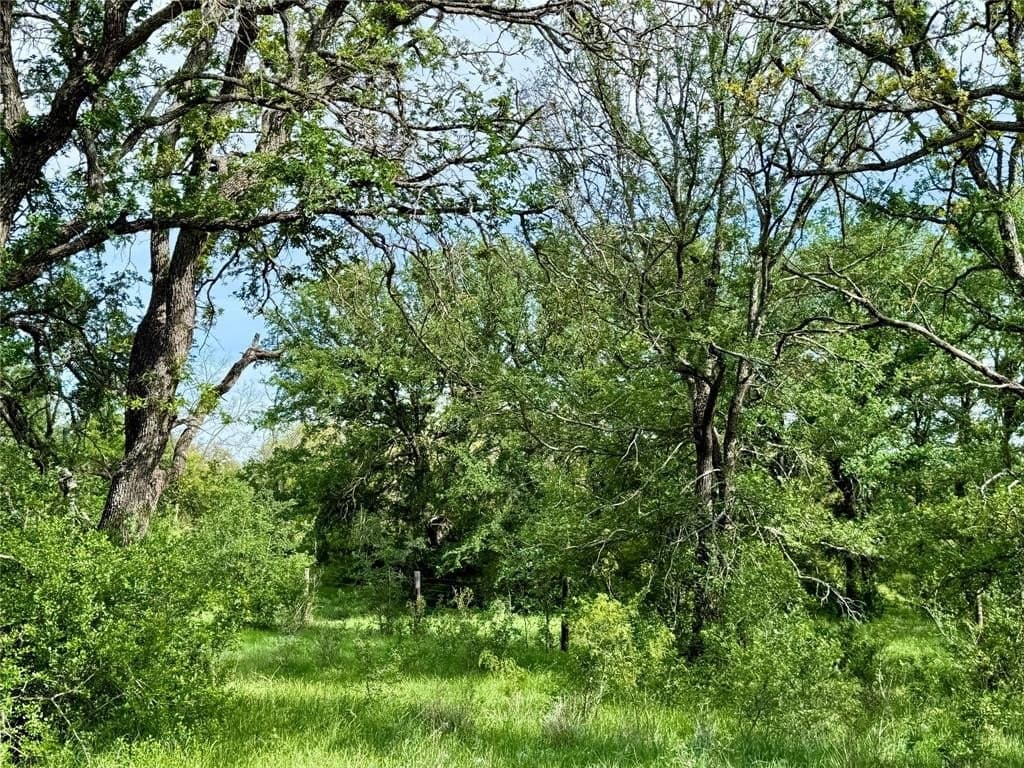 220.96 acres in Brown County featured view