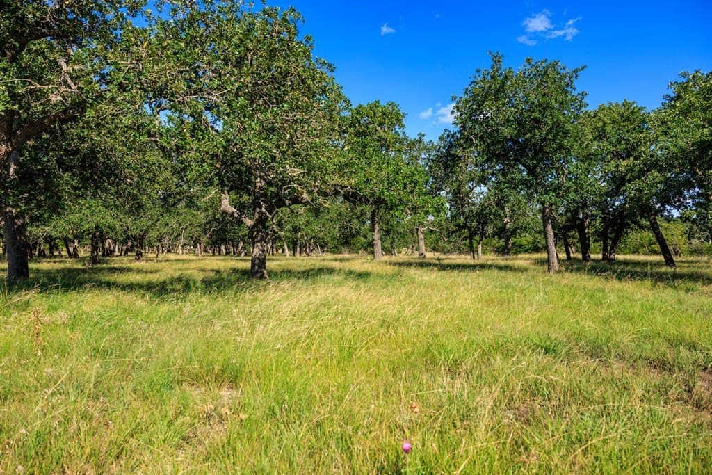 10.03 acres in Gillespie County gallery image 3