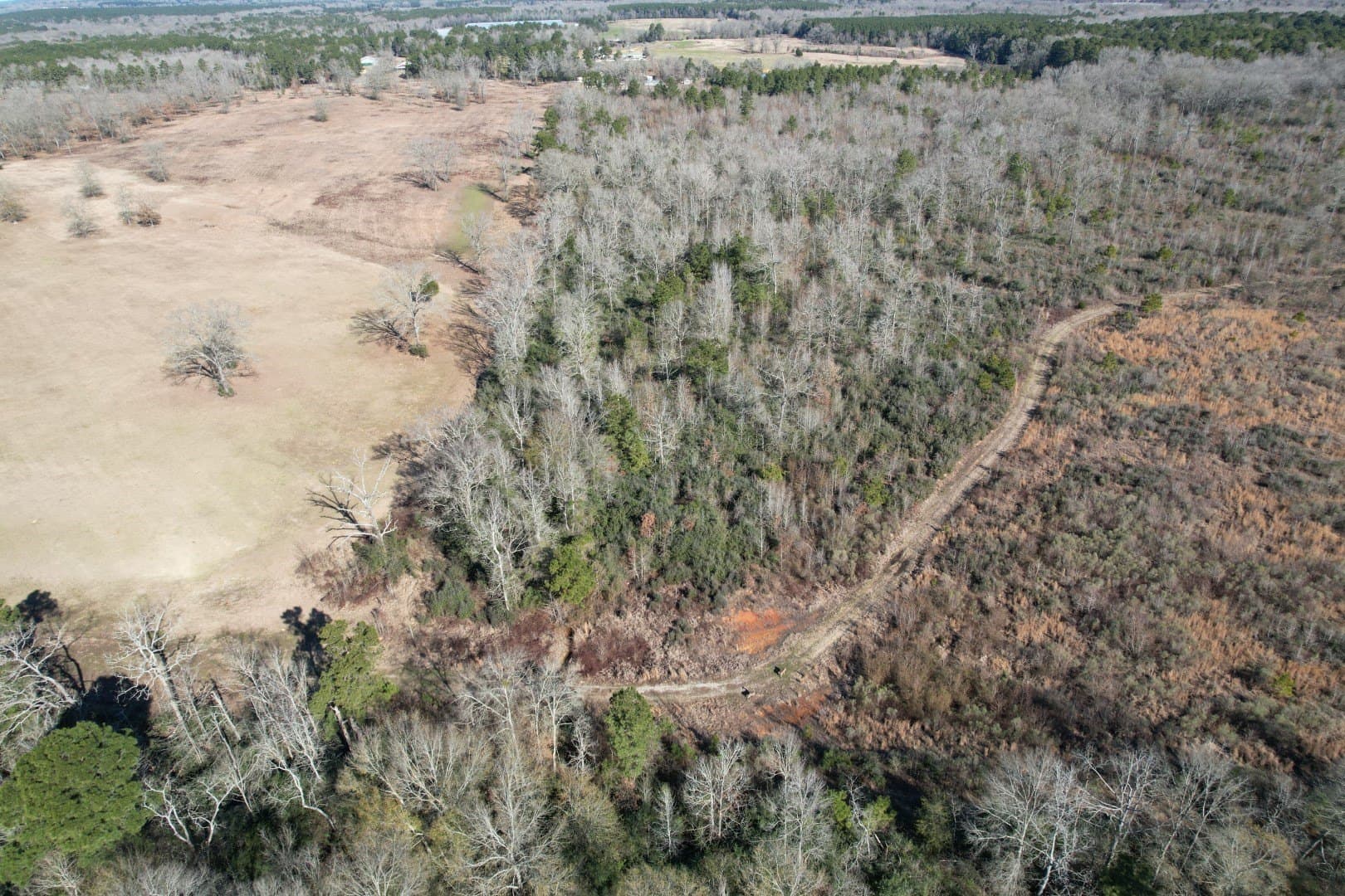 49 acres in Shelby County - photo 5